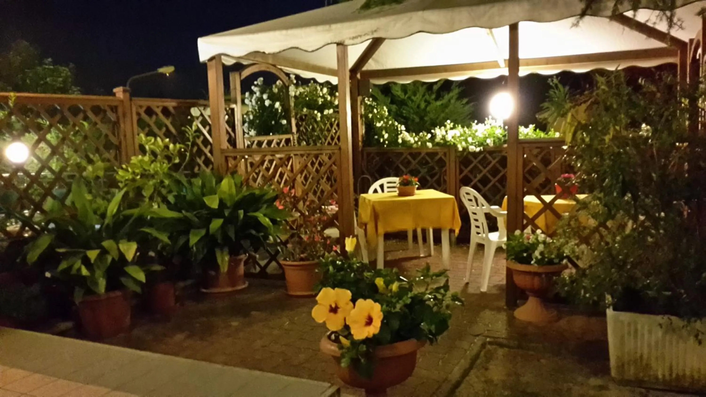 Garden view in Hotel Garden Ristorante