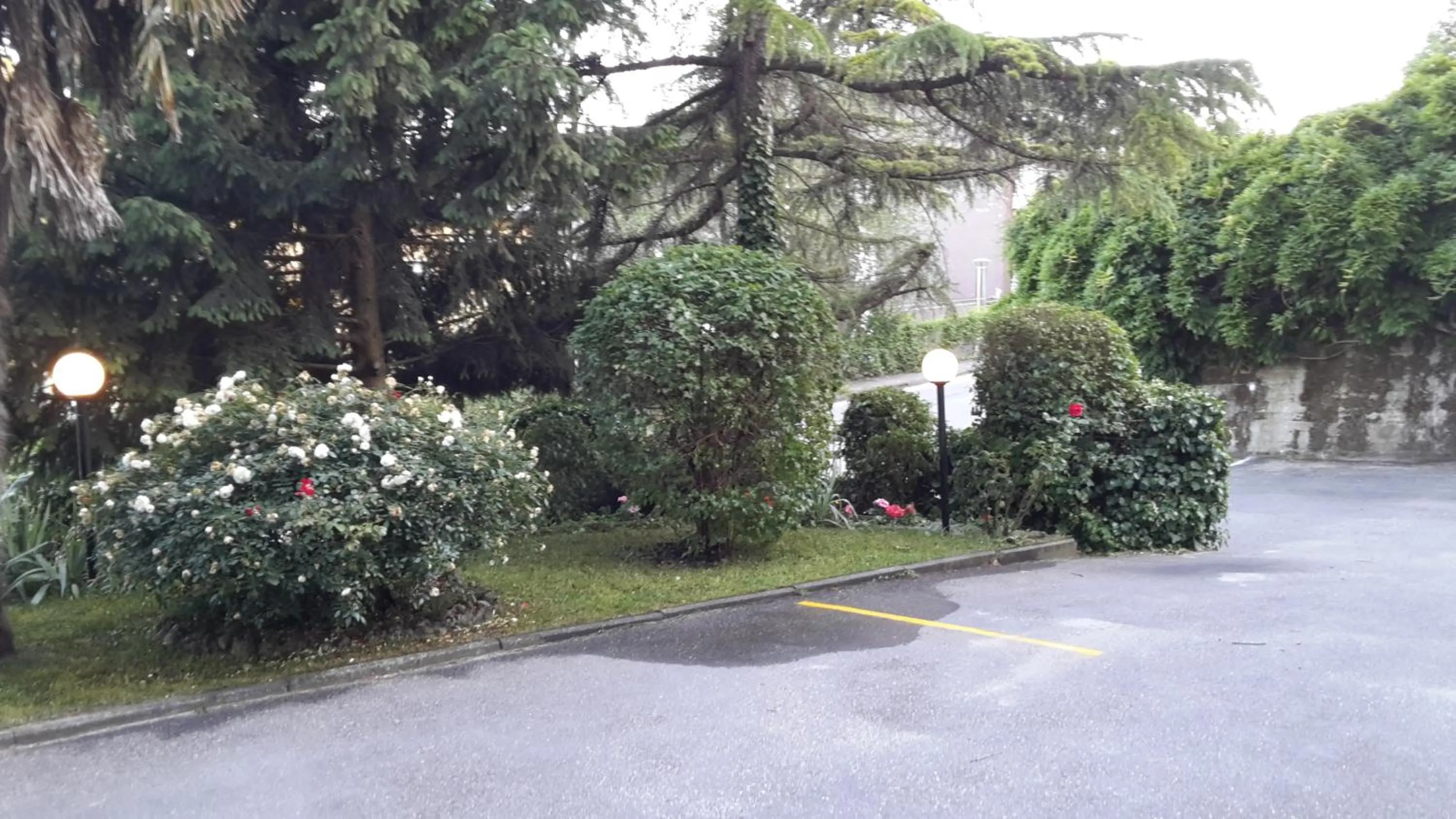 Garden in Hotel Garden Ristorante