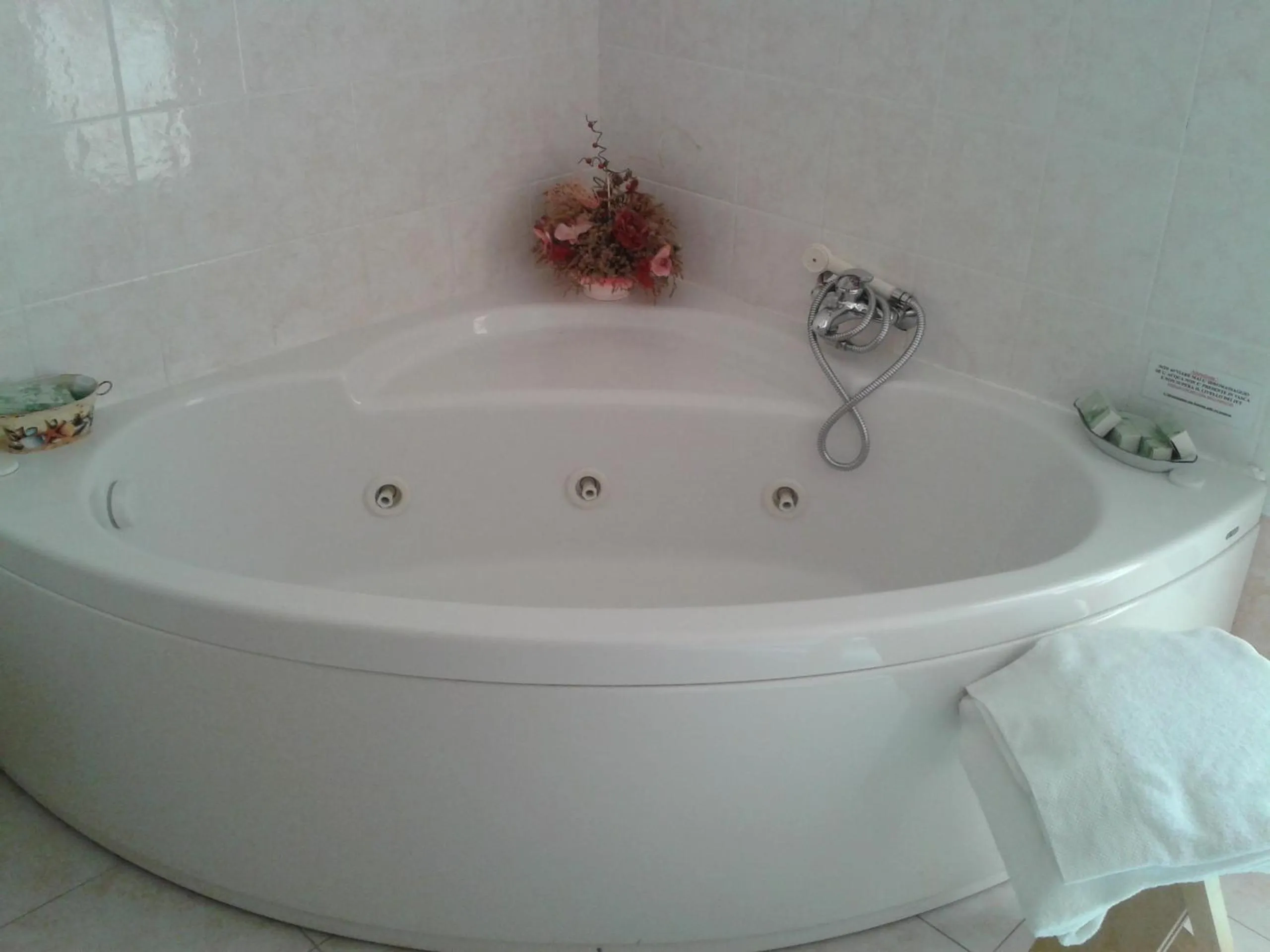 Area and facilities in Hotel Garden Ristorante