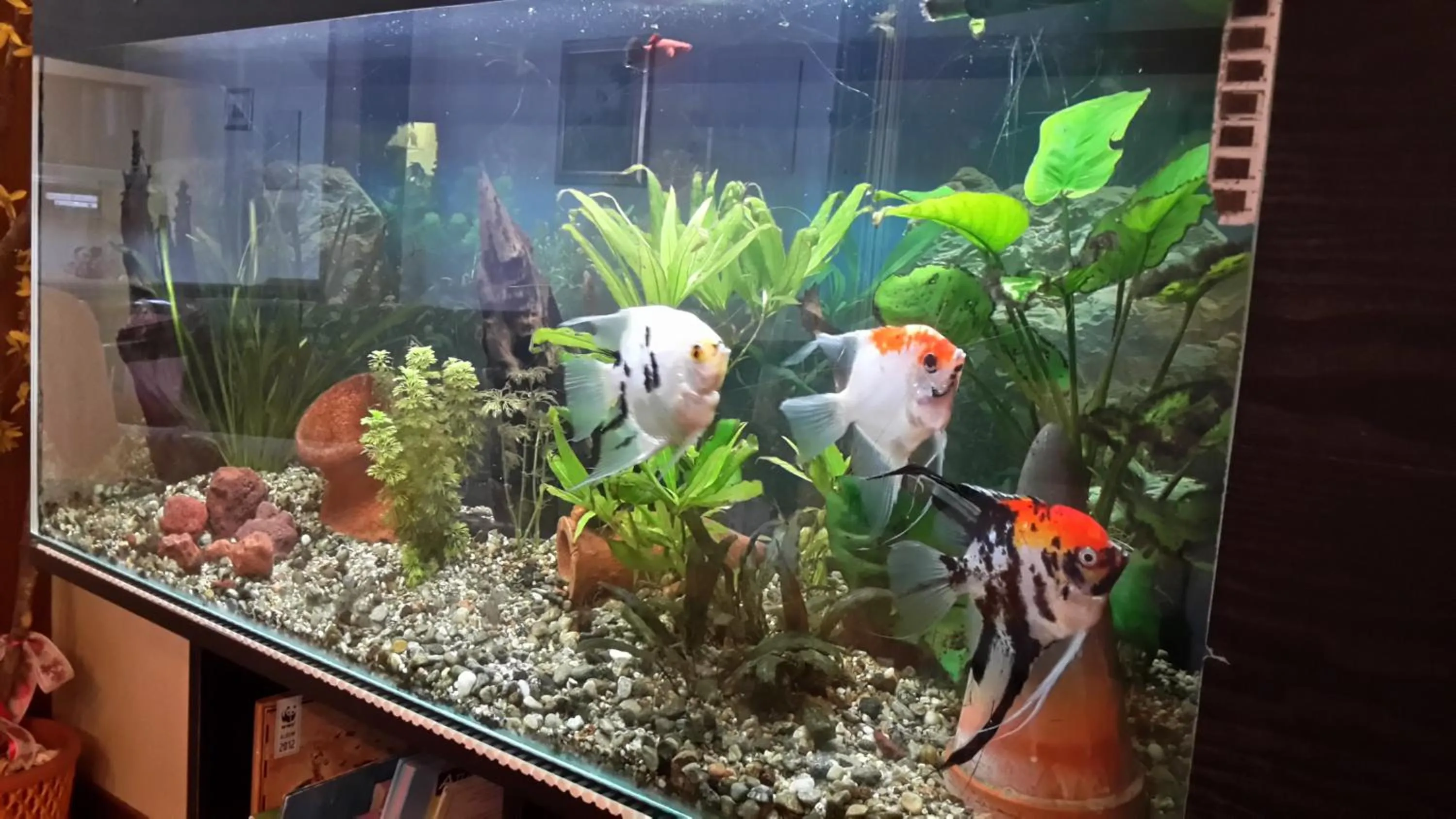 On site in Hotel Garden Ristorante