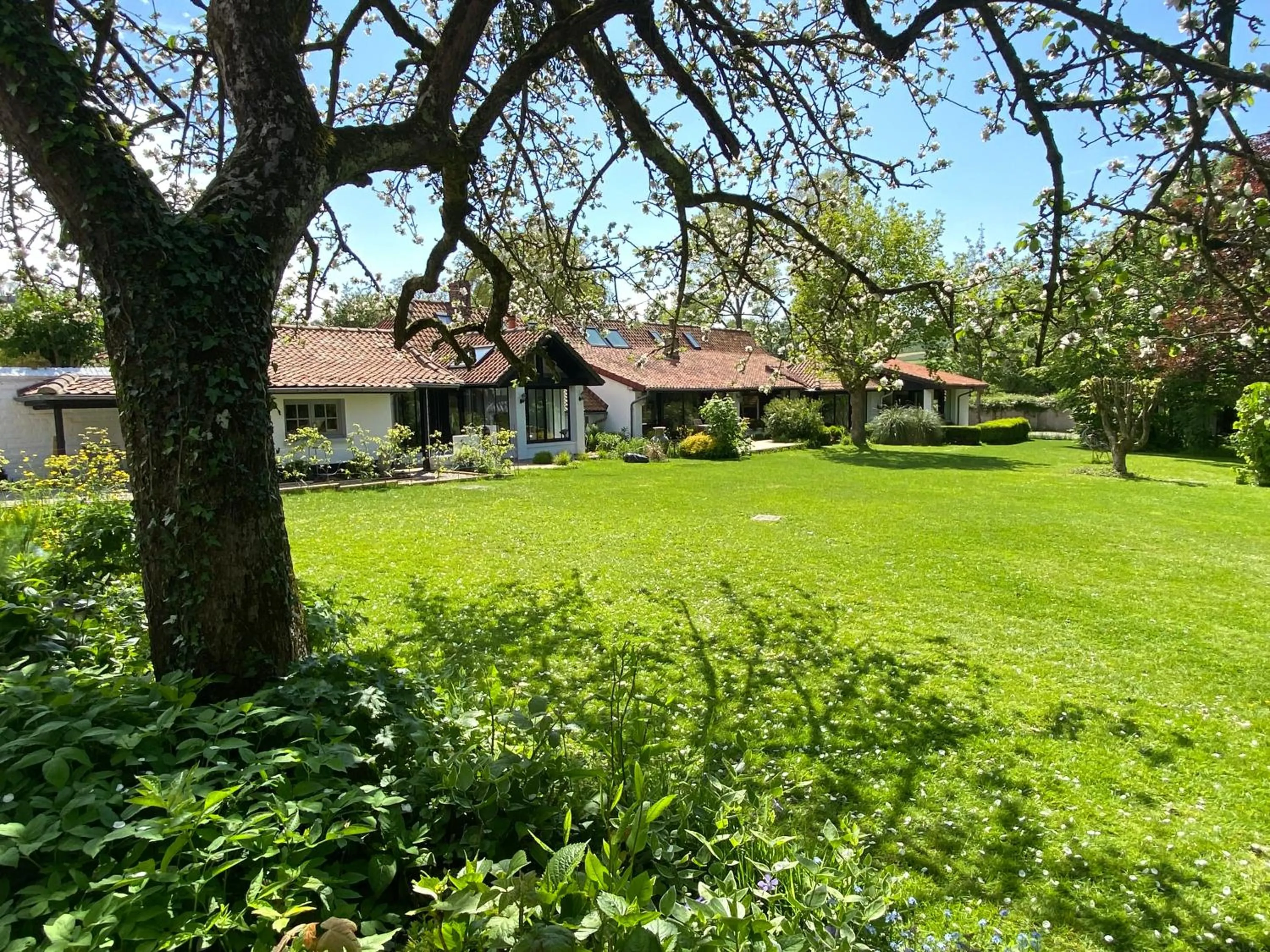 Garden view in Un matin de mai