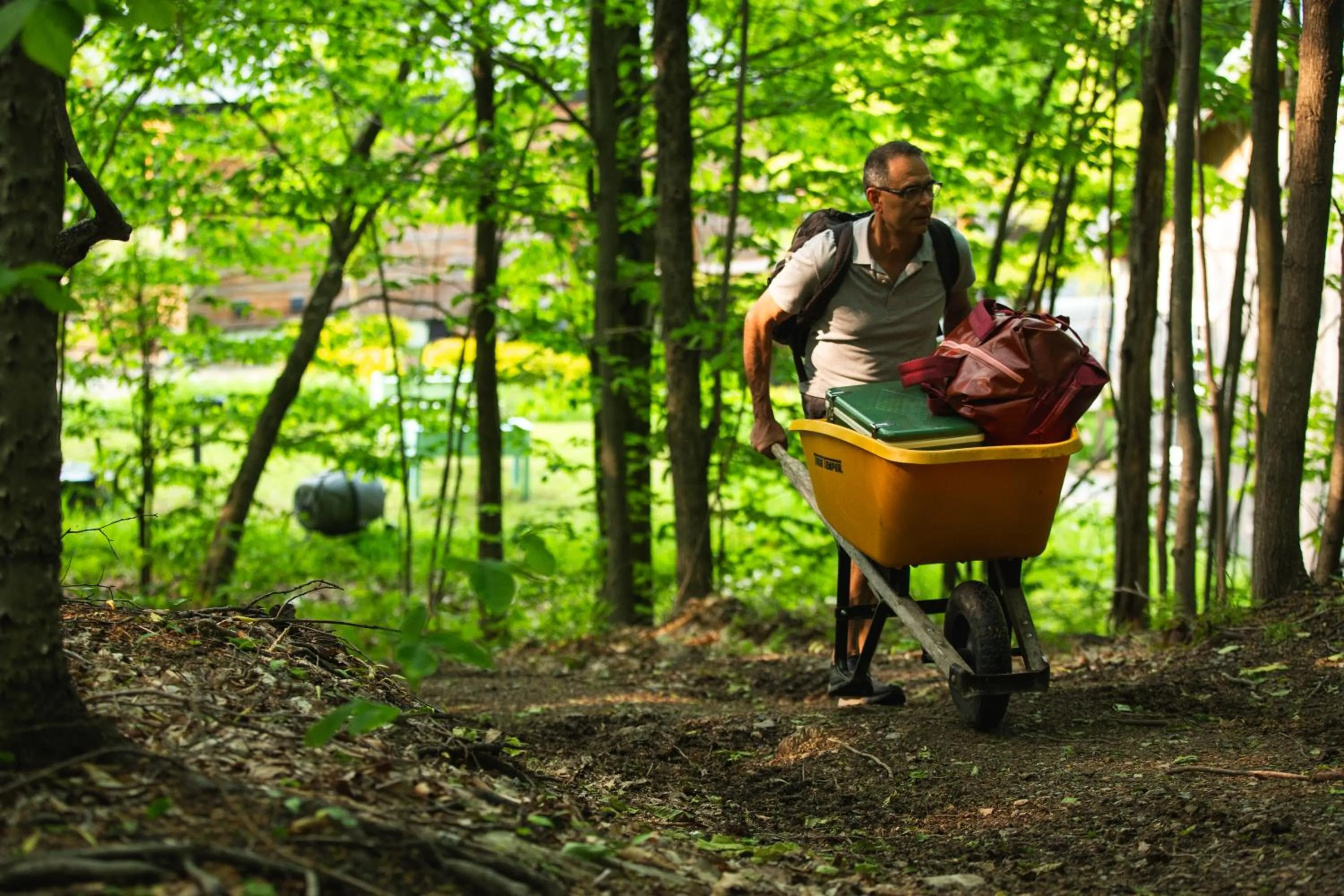Natural landscape in Station Chene rouge