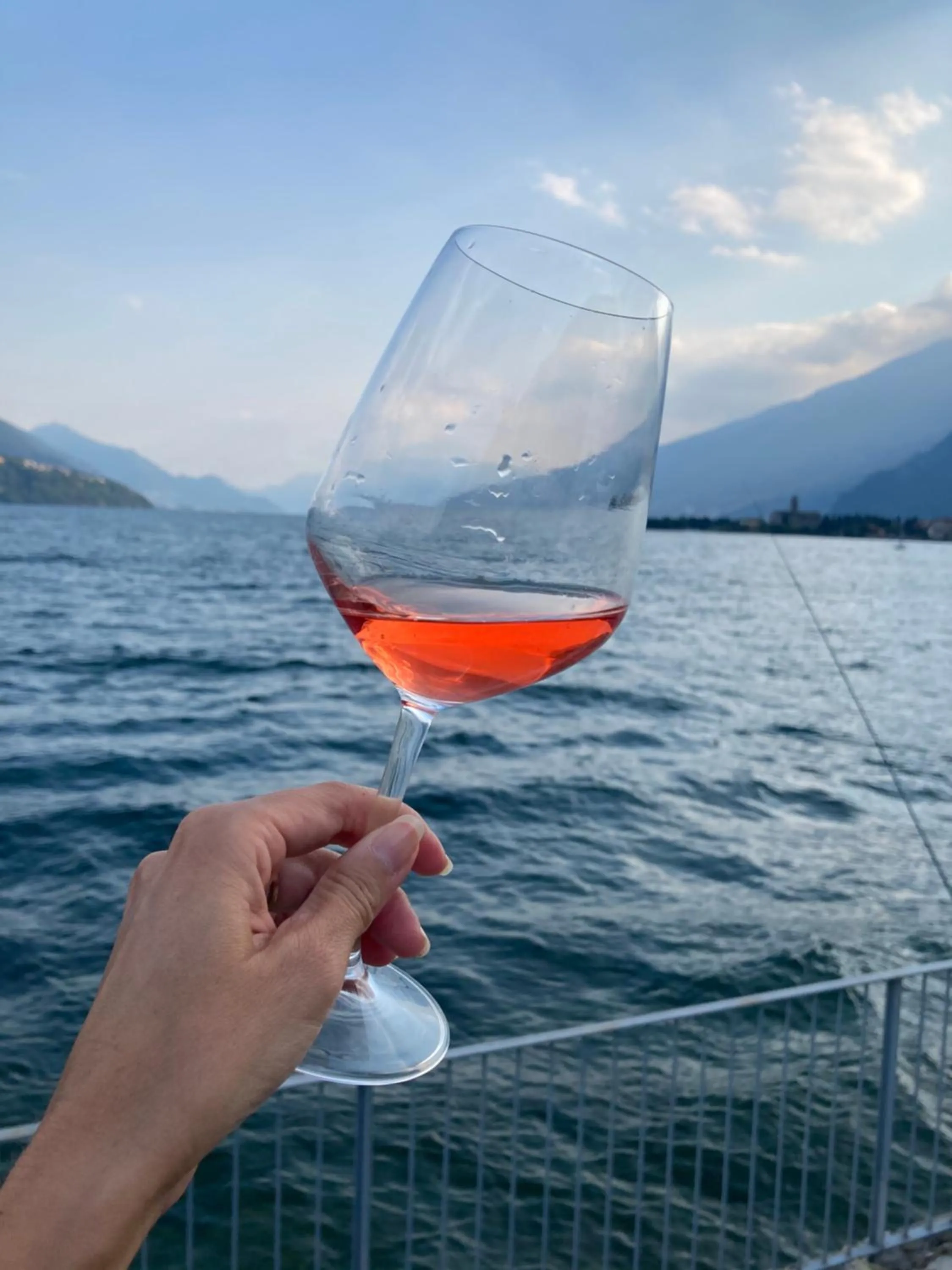 Alcoholic drinks in Hotel Regina