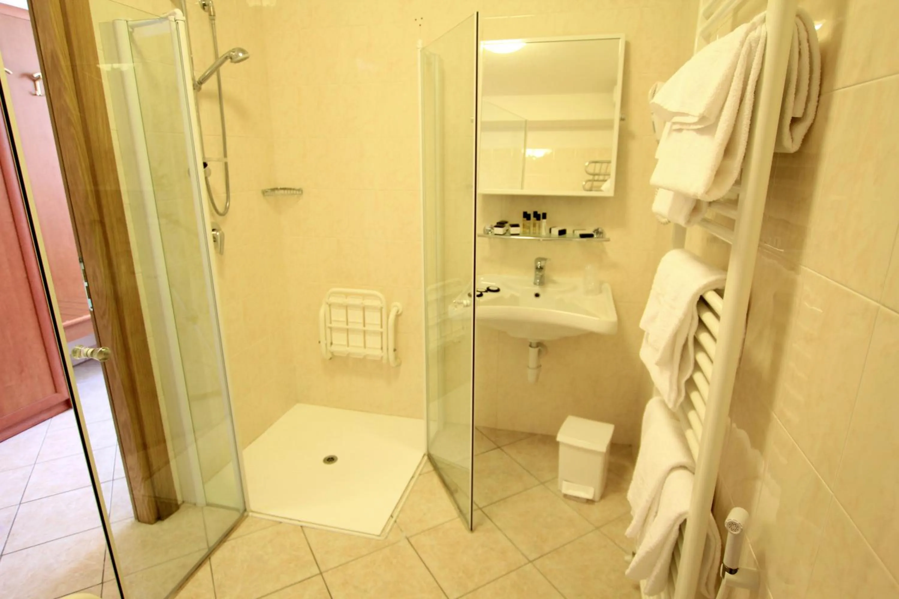 Bathroom in Hotel Regina