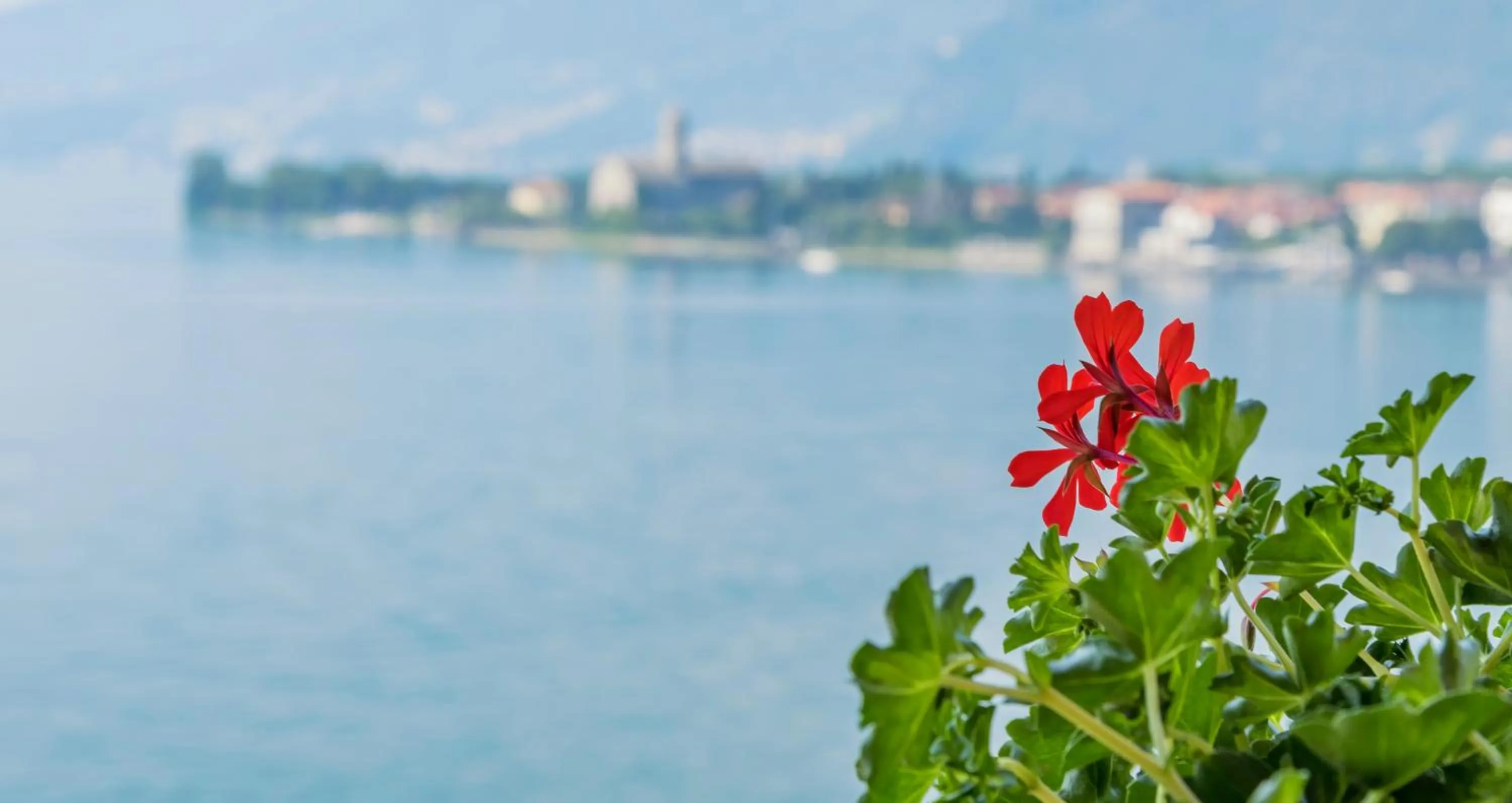 Lake view in Hotel Regina