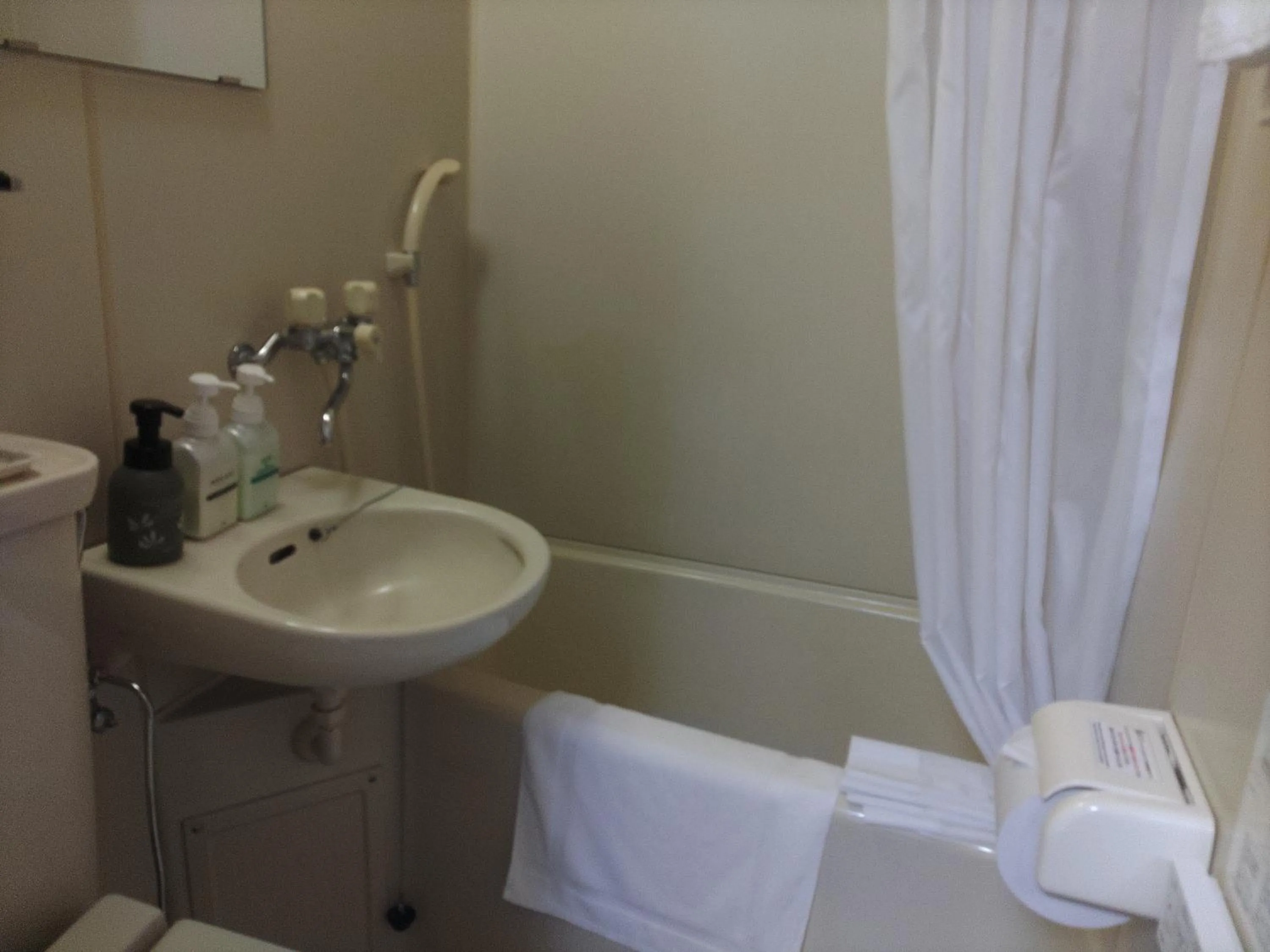 Bathroom in Hotel Hakusan Hills