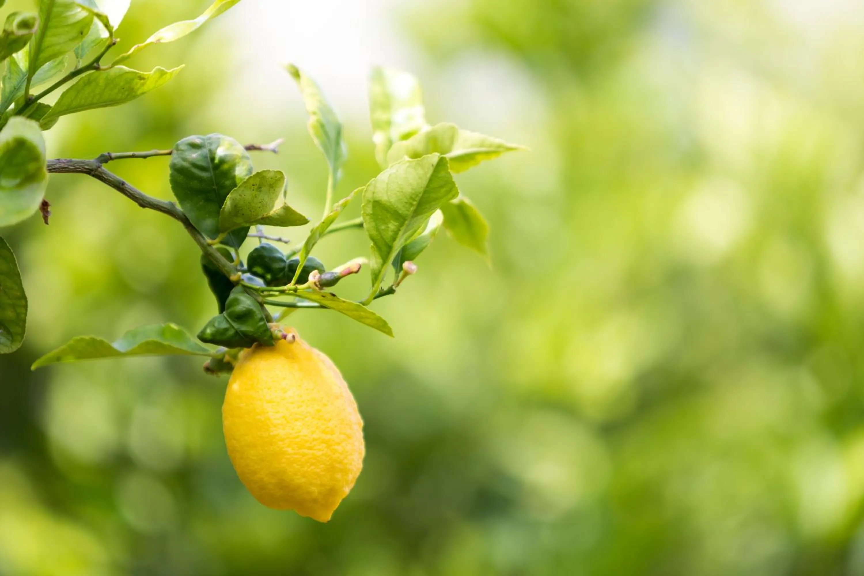 Other in Relais Regina Giovanna