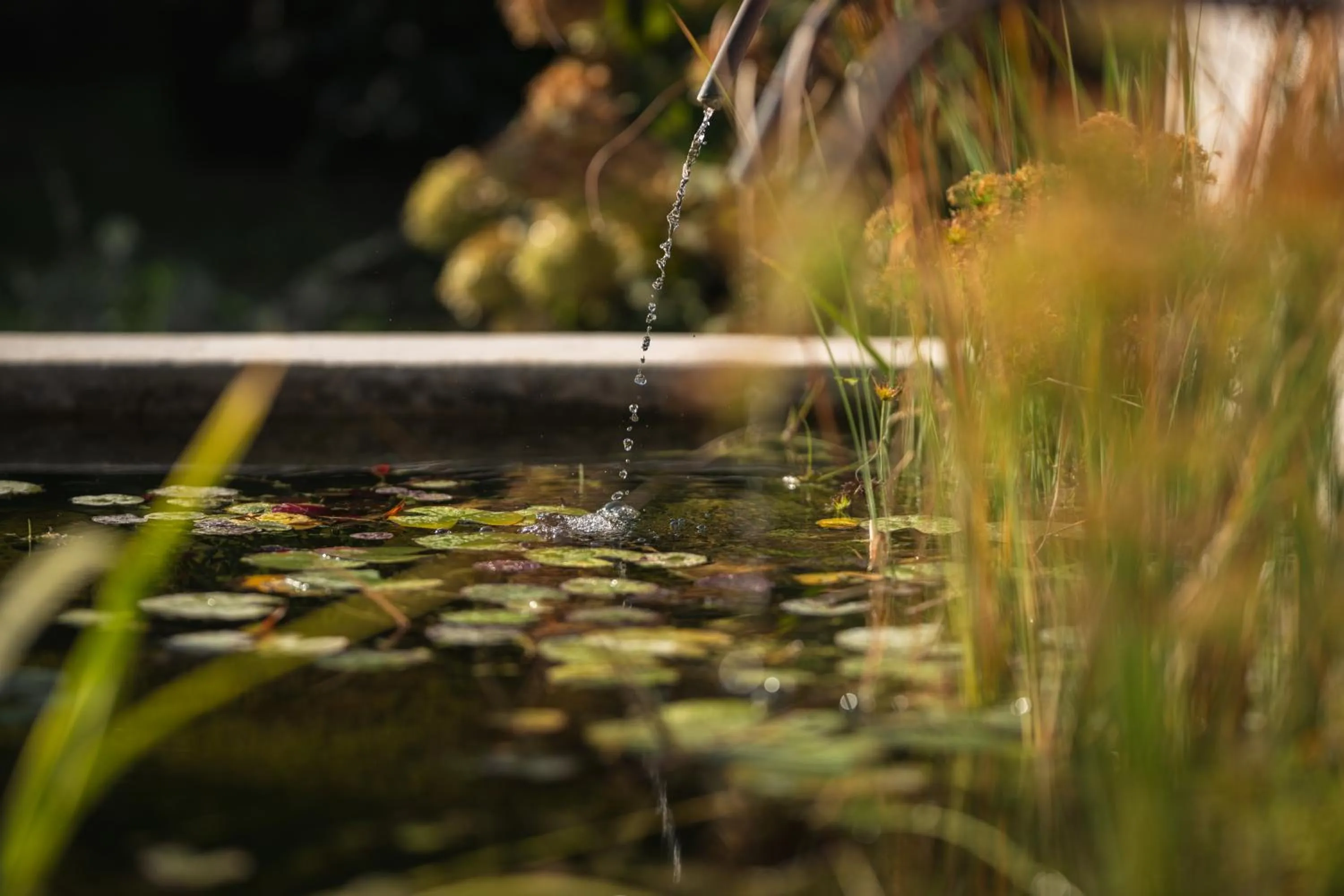 Garden in Relais Regina Giovanna