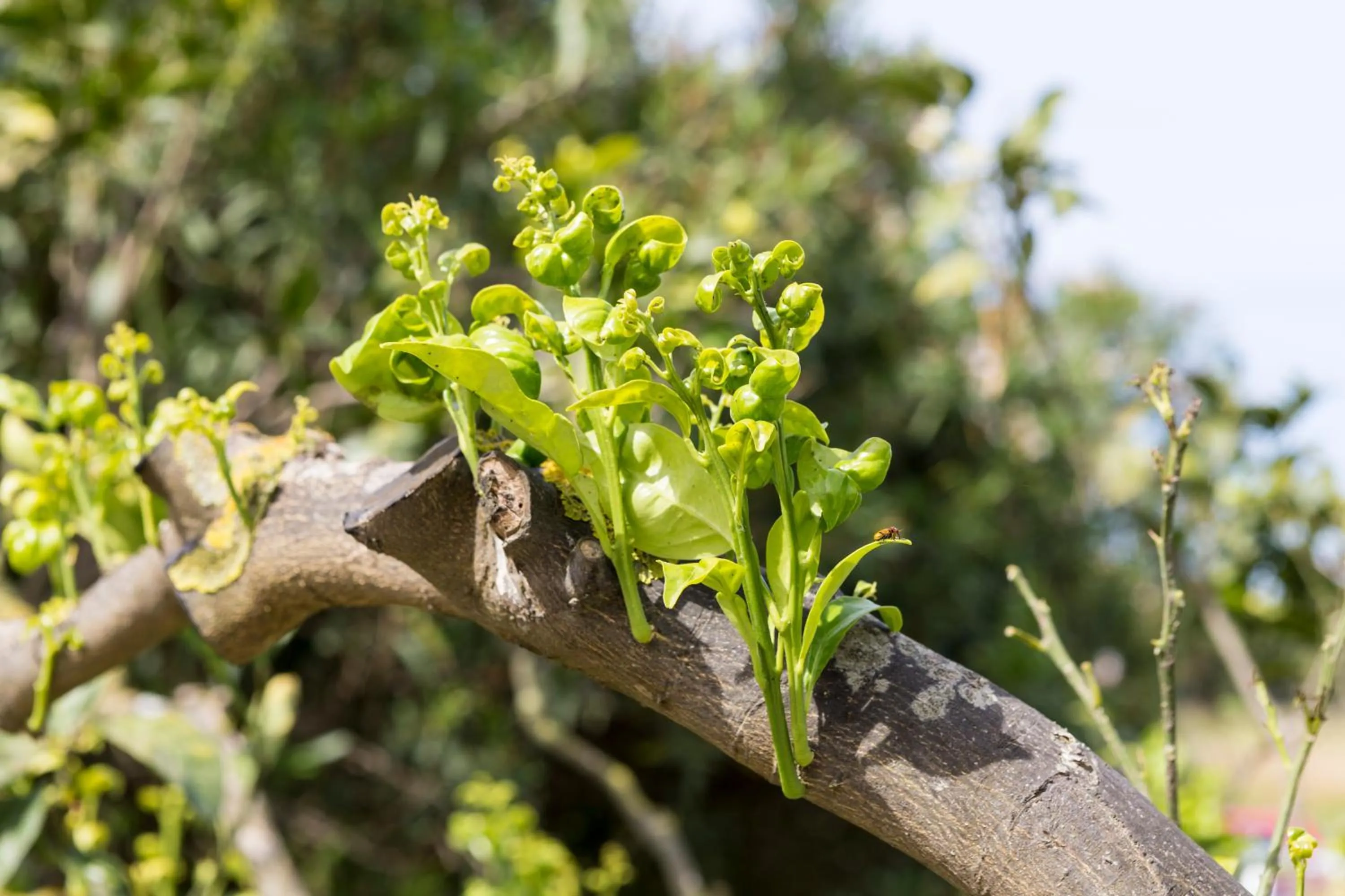 Day in Relais Regina Giovanna