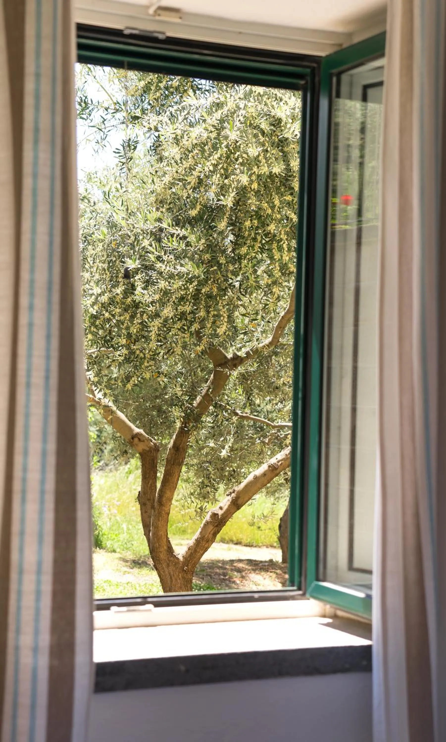 Garden in Relais Regina Giovanna