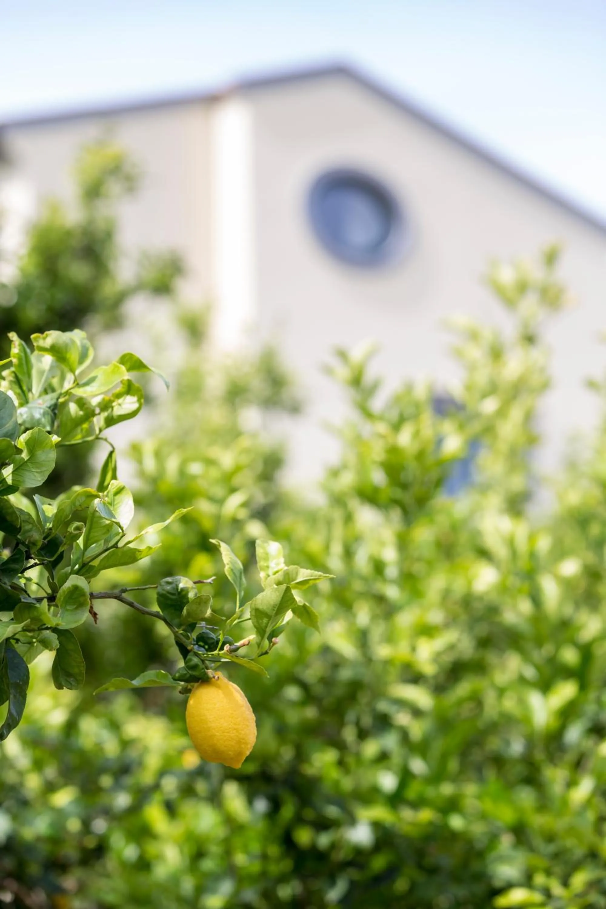 Day in Relais Regina Giovanna