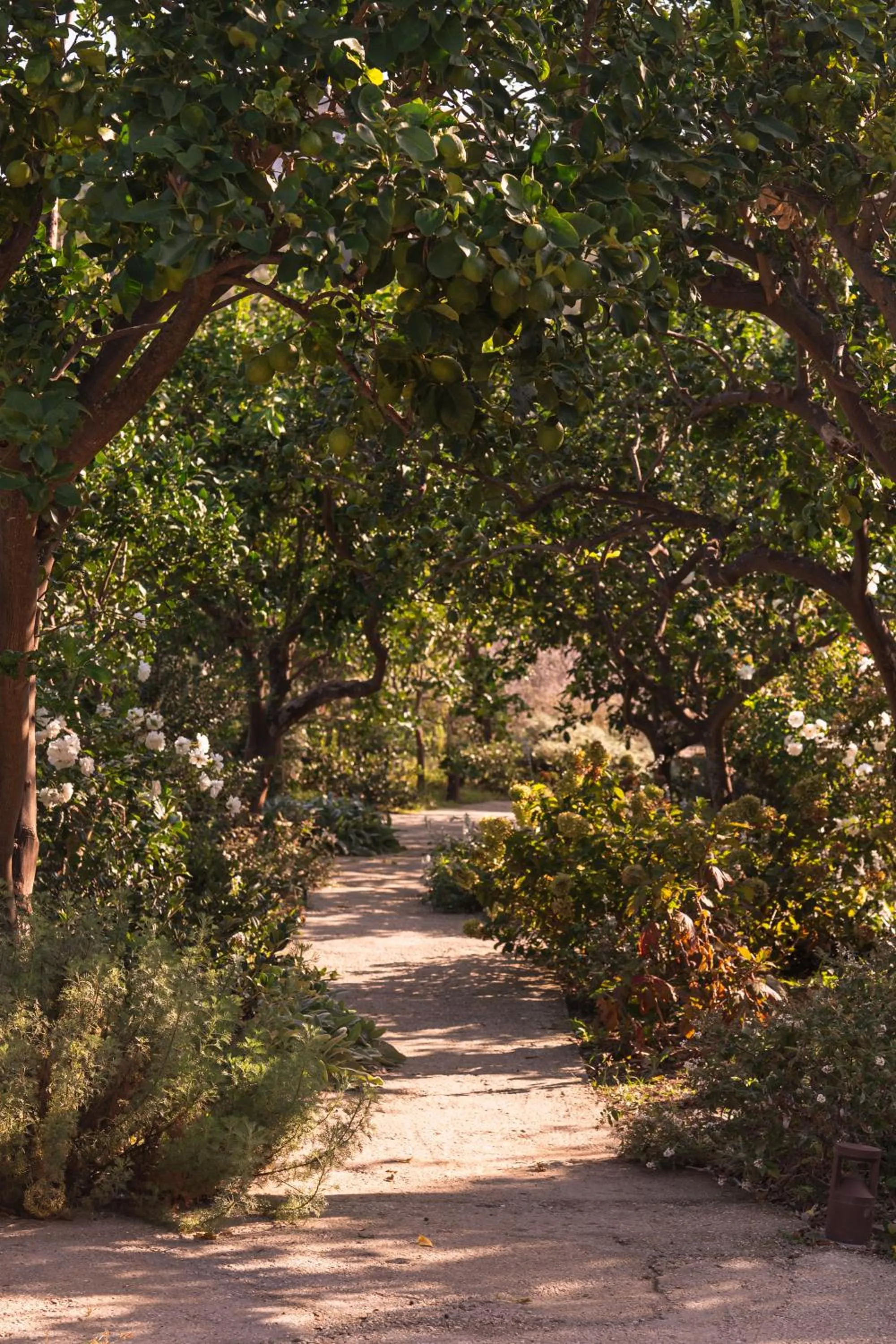Garden in Relais Regina Giovanna