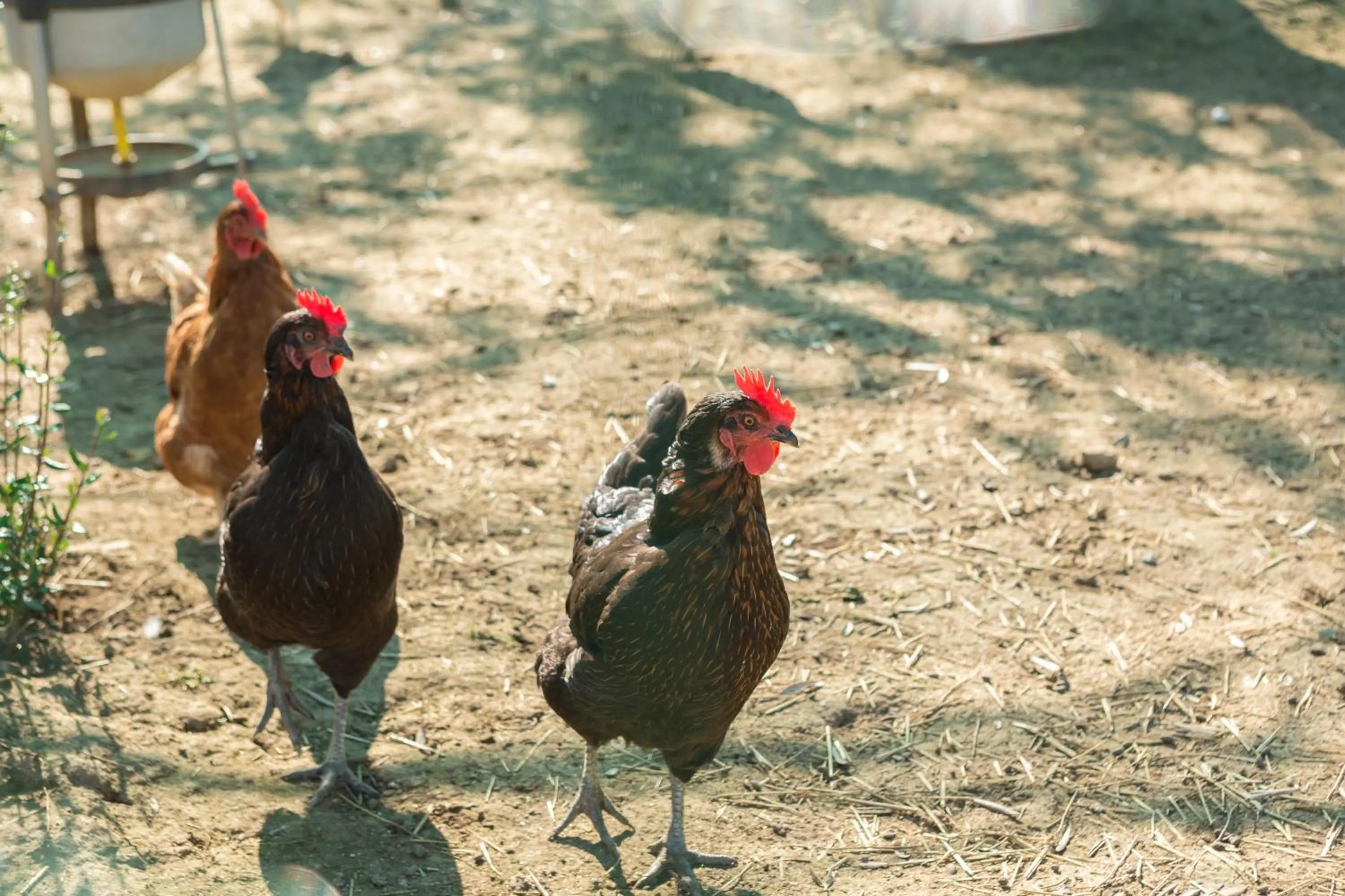 Day in Relais Regina Giovanna