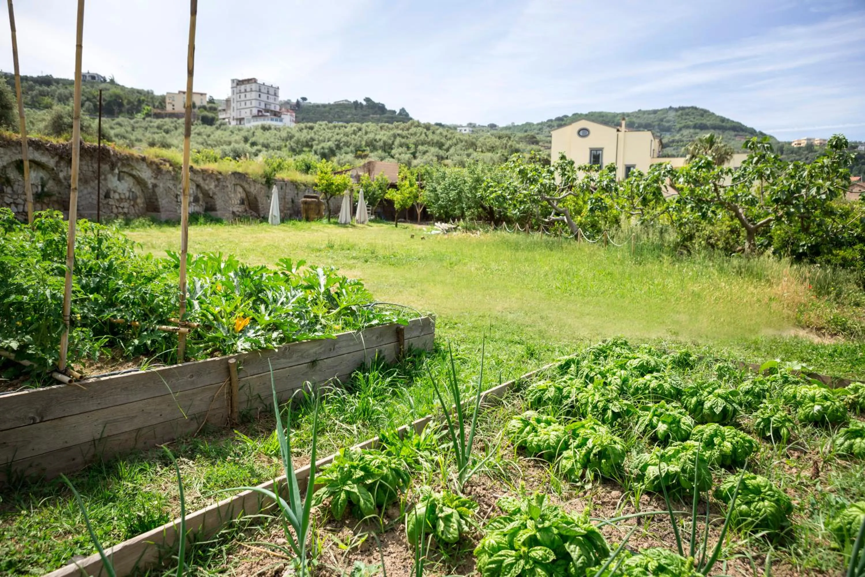 Pets in Relais Regina Giovanna