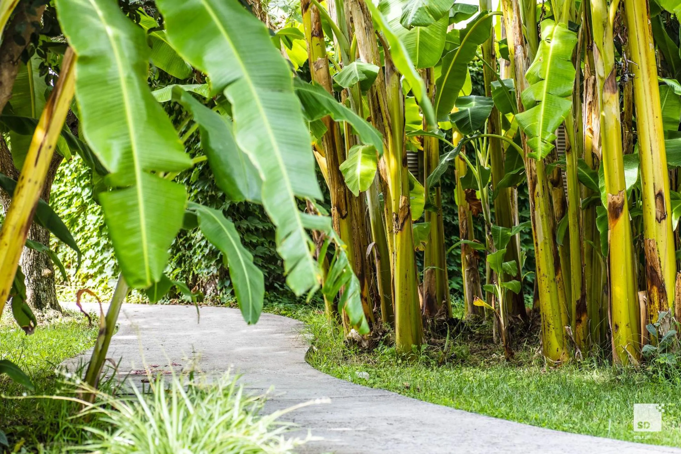 Tonicello Hotel Resort & SPA