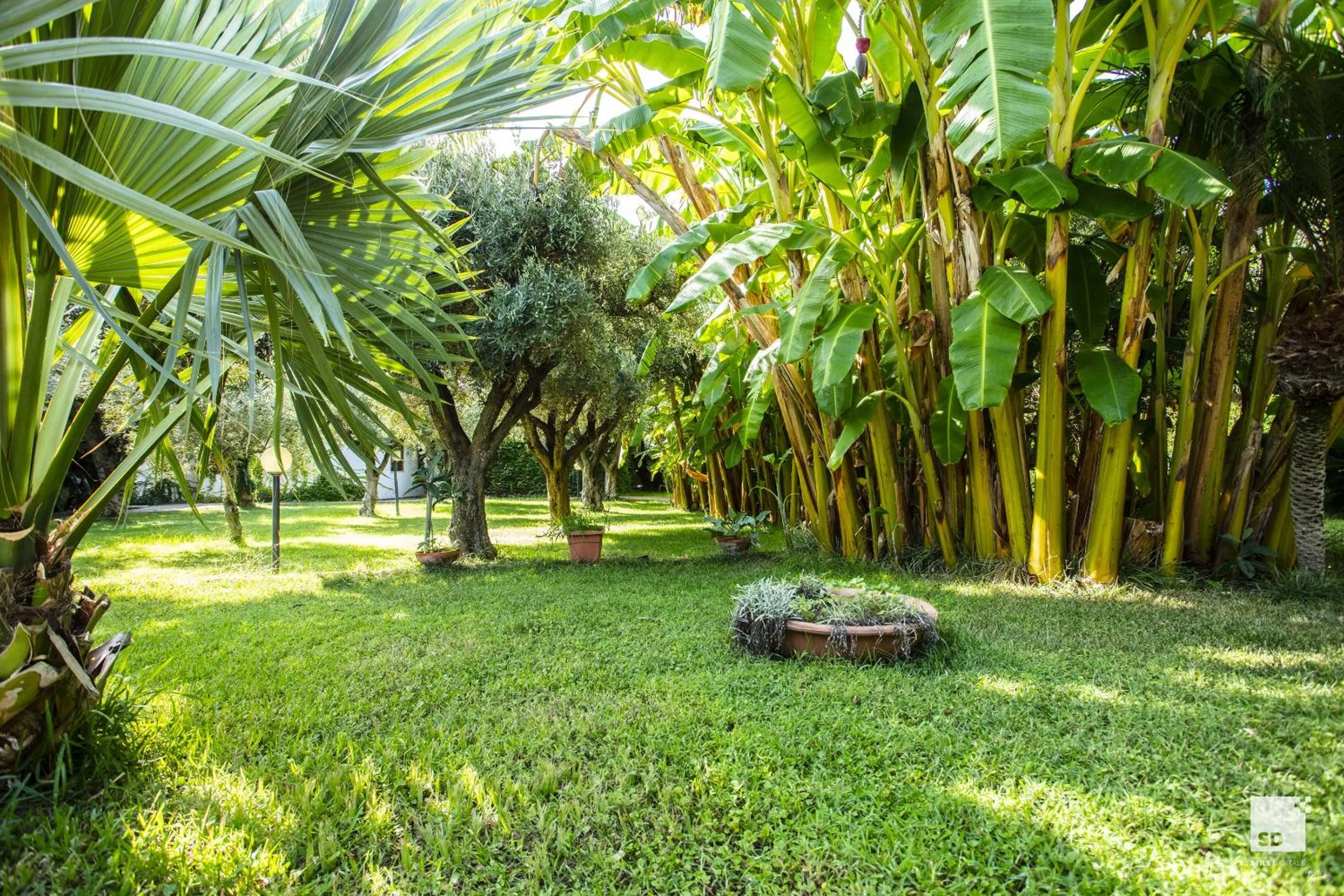 Garden in Tonicello Hotel Resort & SPA