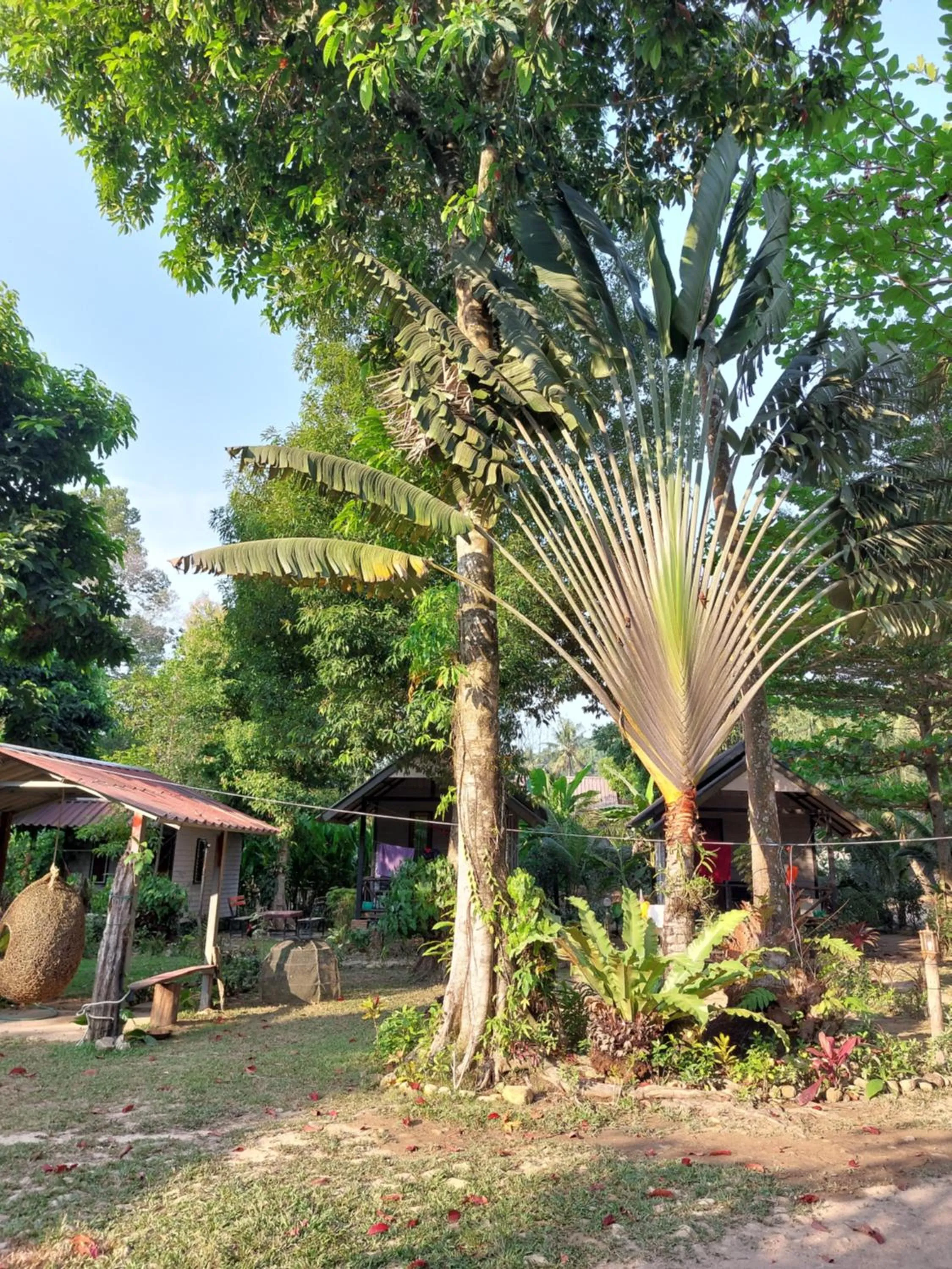 Green Garden Bungalows