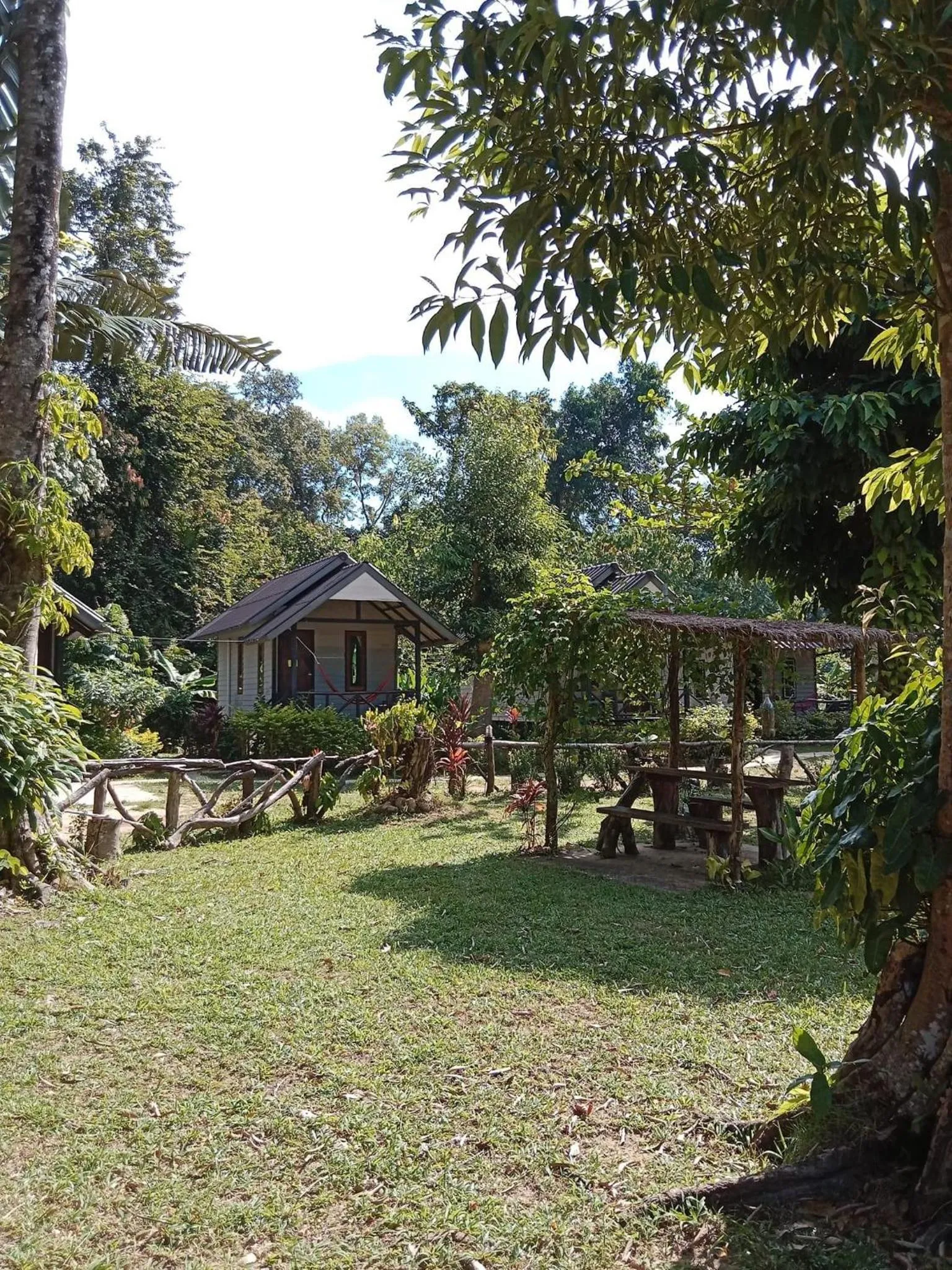 Garden in Green Garden Bungalows