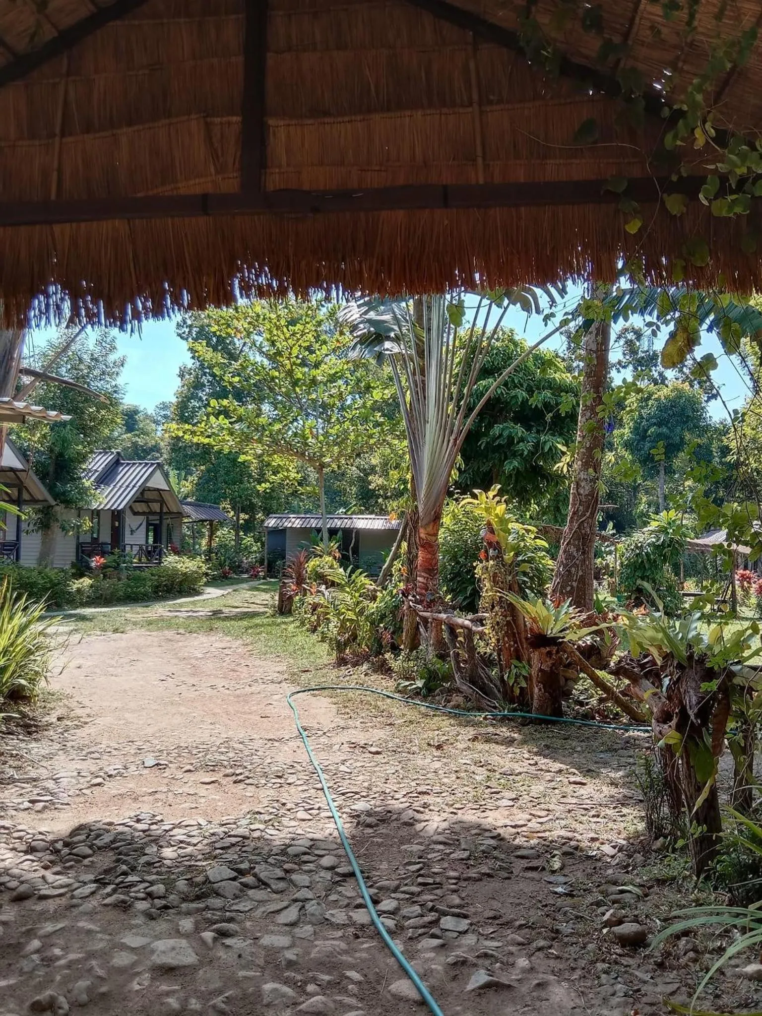 Garden in Green Garden Bungalows