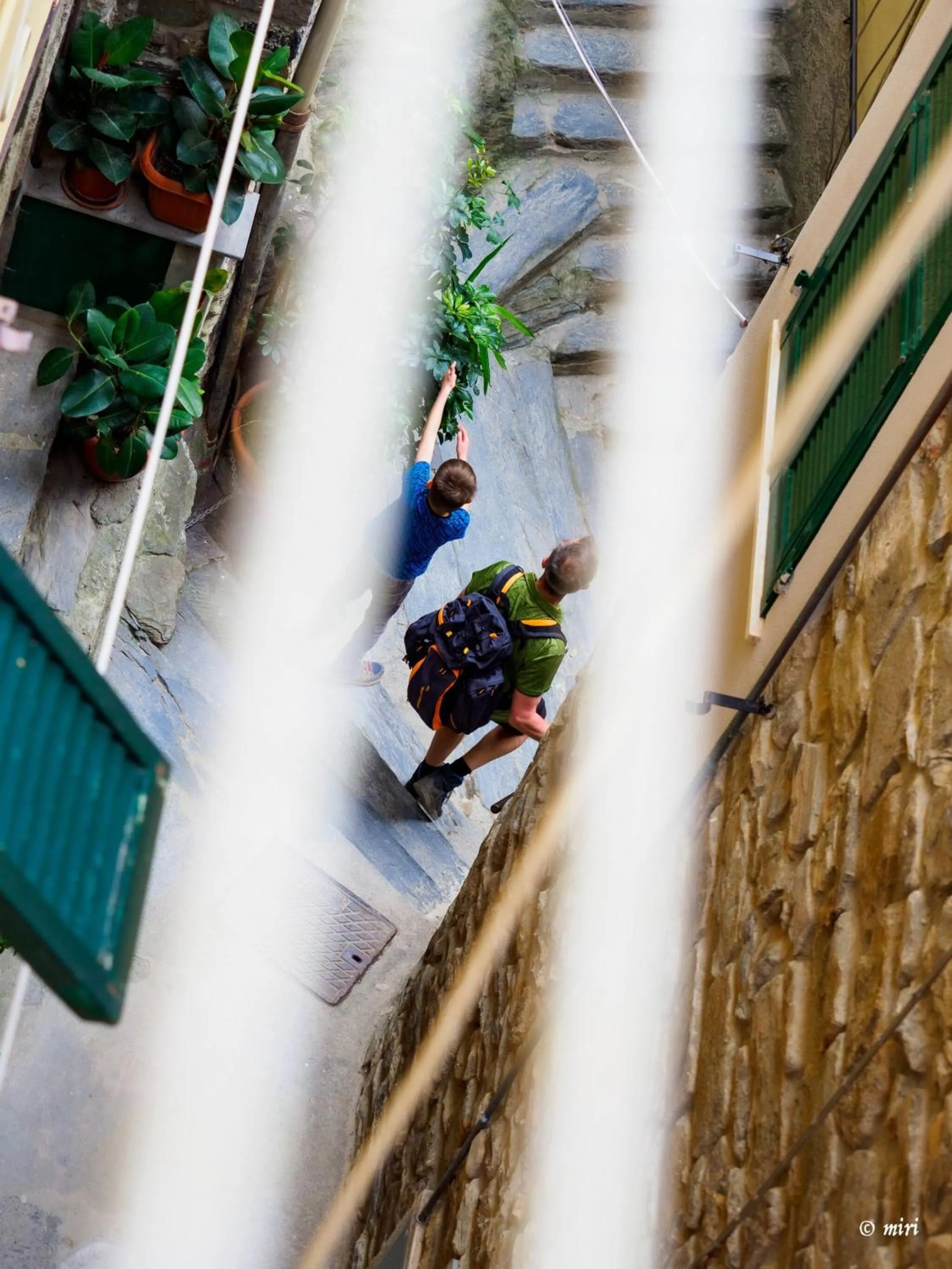 Other in Carmelina Tiny Village Room