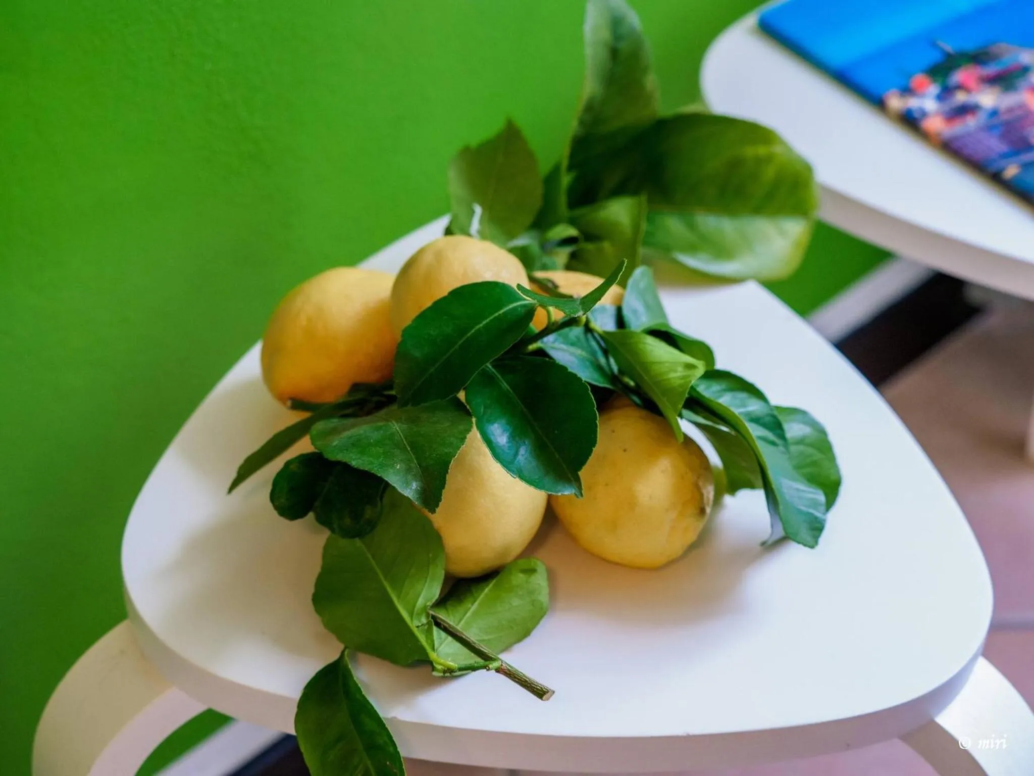 Other in Carmelina Tiny Village Room