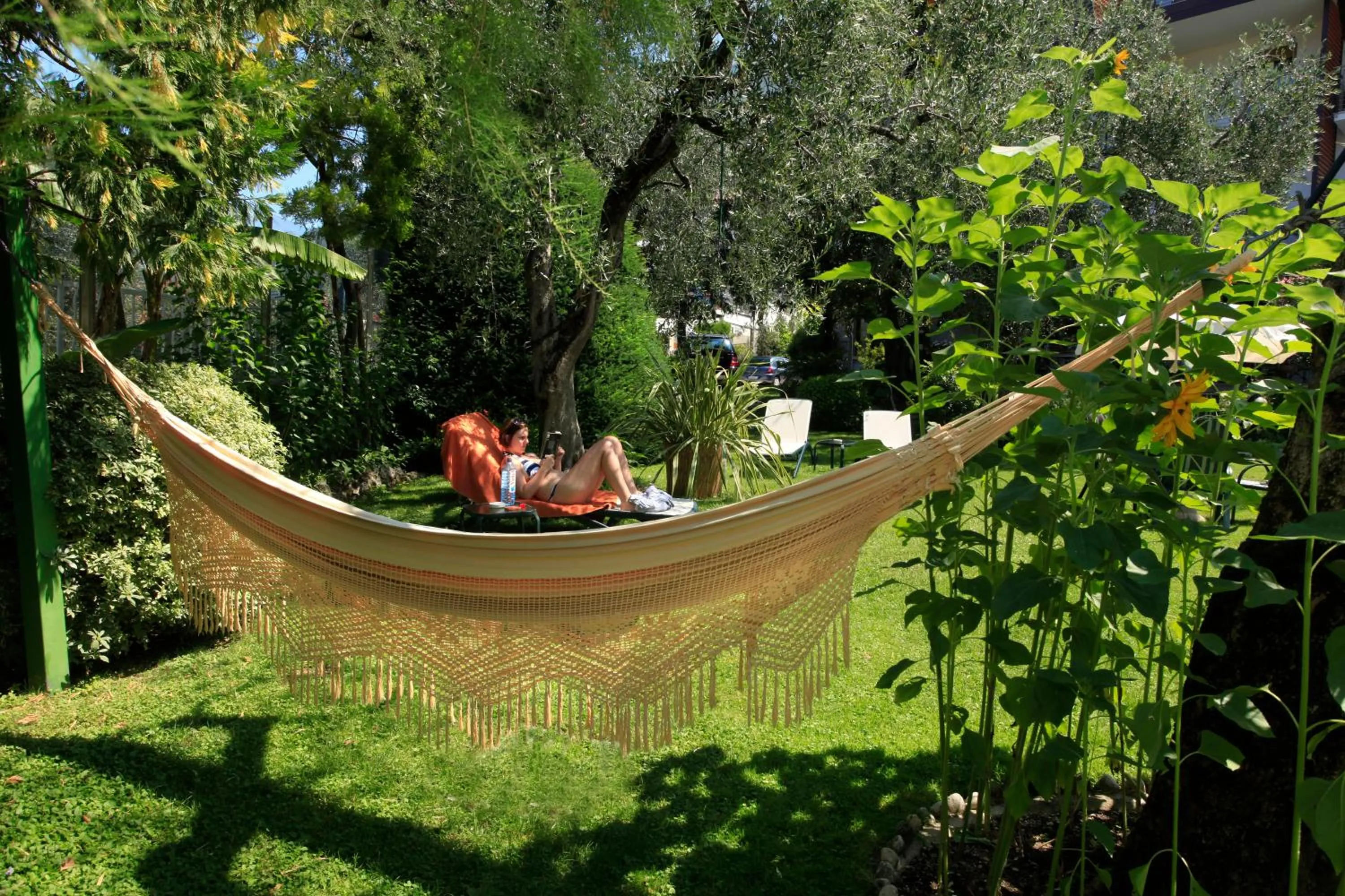 Garden in Eco Hotel Ariston