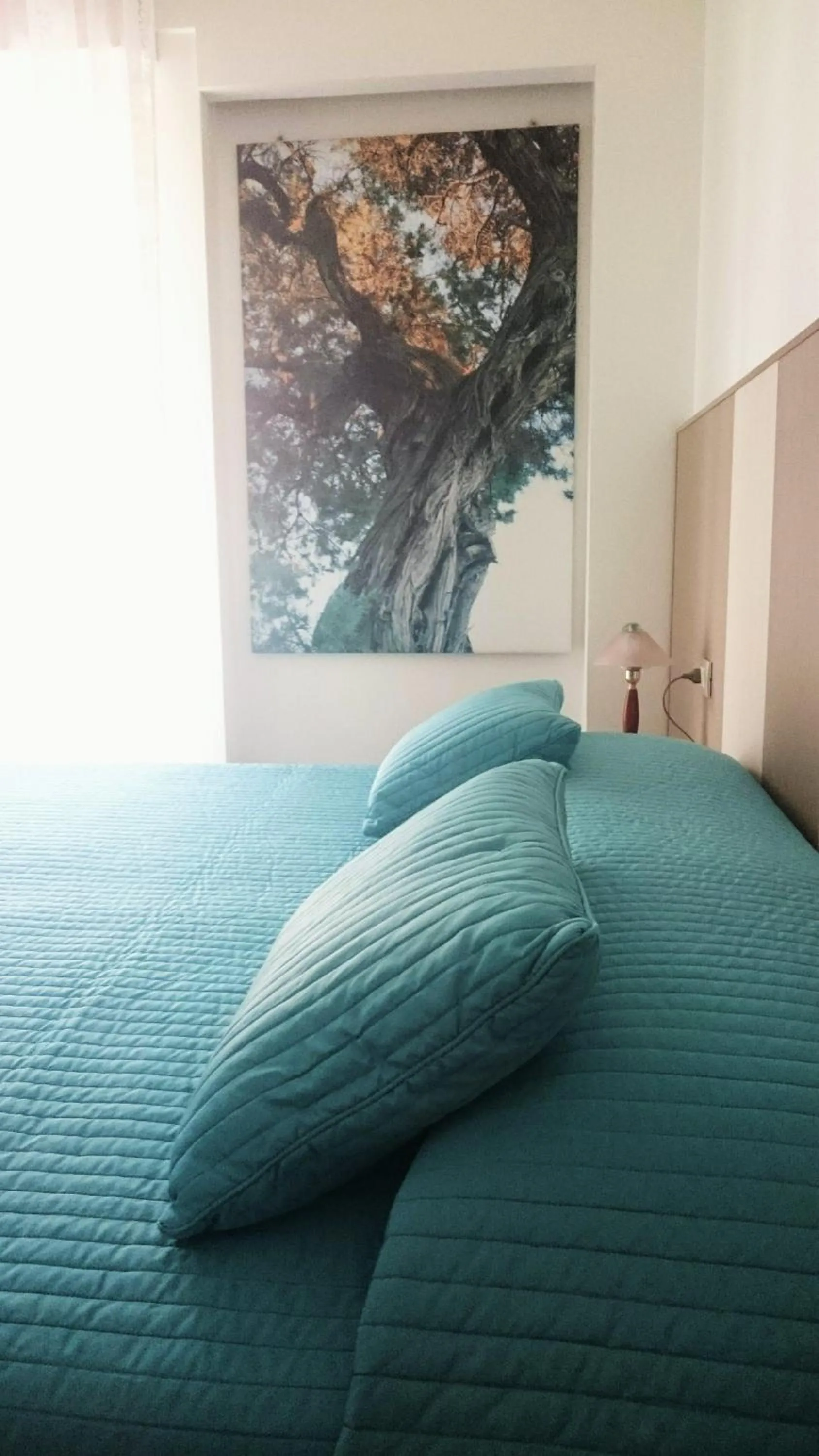 Bed in Eco Hotel Ariston