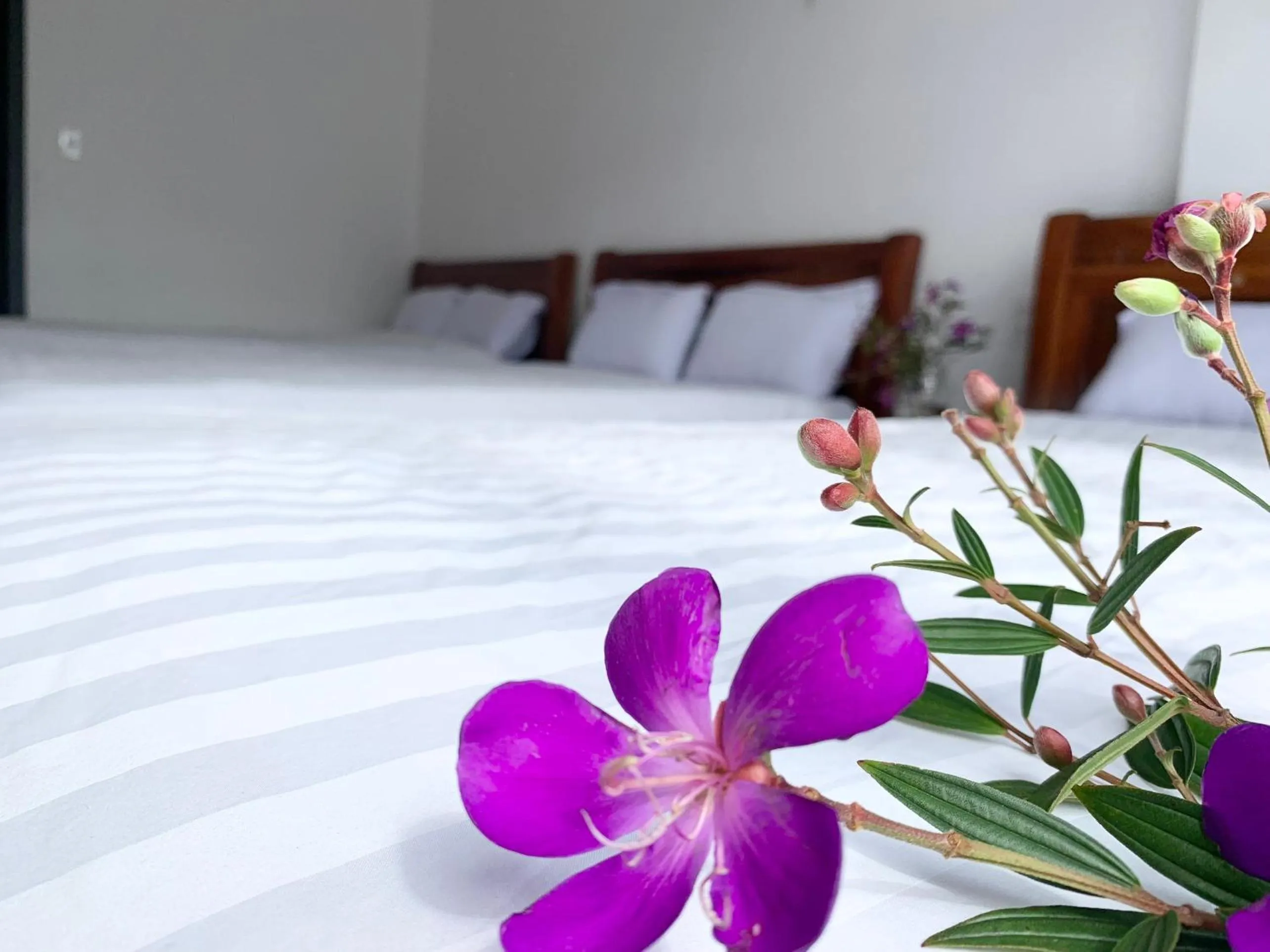 Bed in Khách sạn Nam Ngọc Đà Lạt