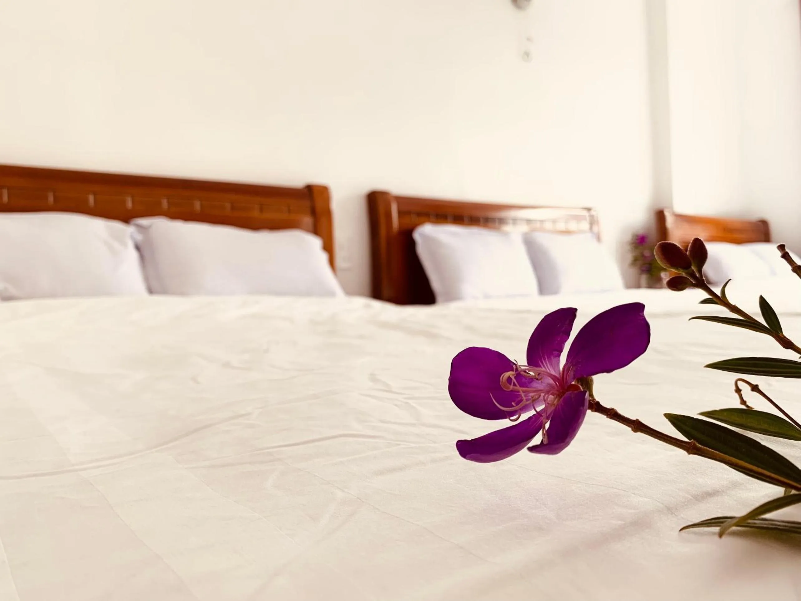 Bed in Khách sạn Nam Ngọc Đà Lạt