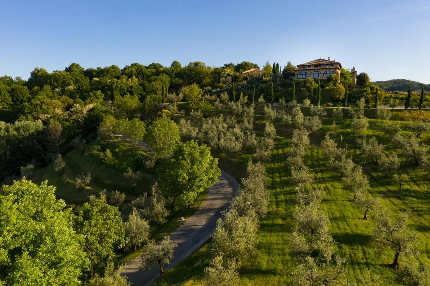 Natural landscape in Il Poggio degli Olivi