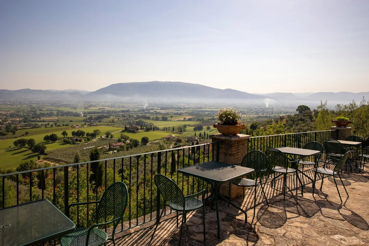 View (from property/room) in Il Poggio degli Olivi