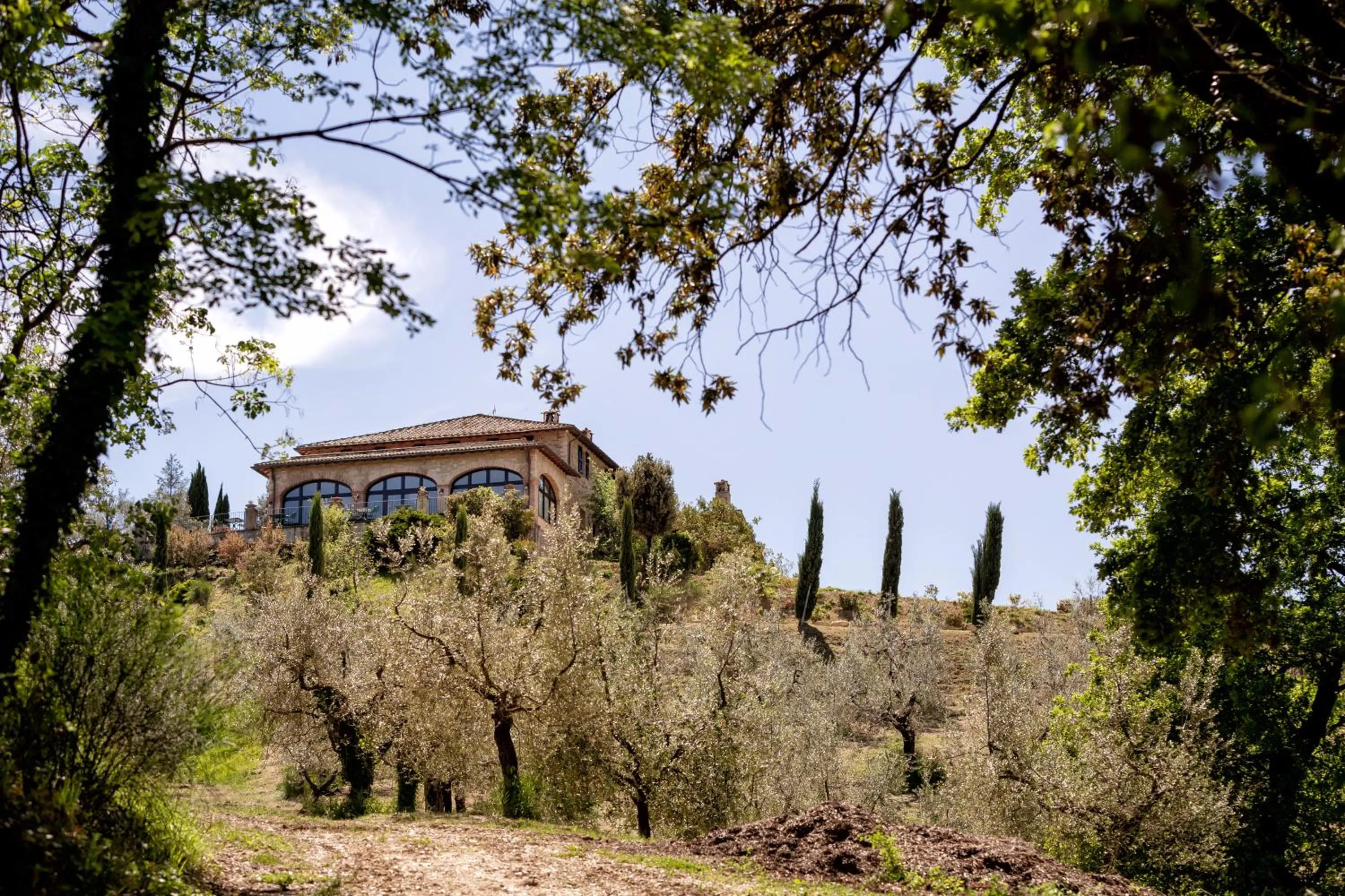 Property building in Il Poggio degli Olivi
