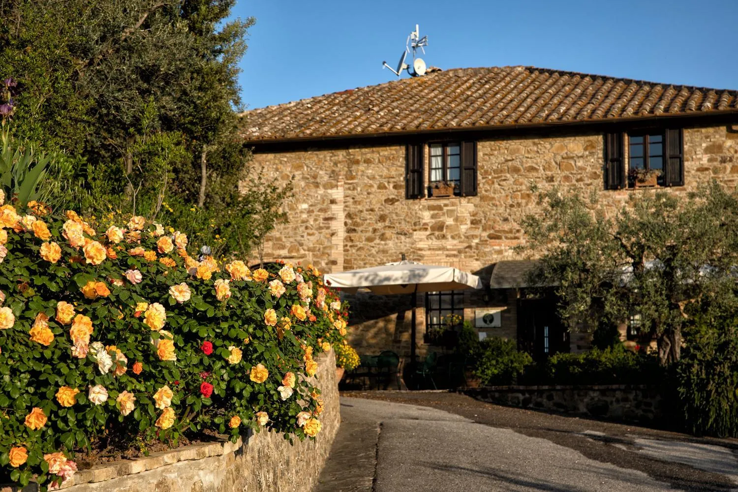 Property building in Il Poggio degli Olivi