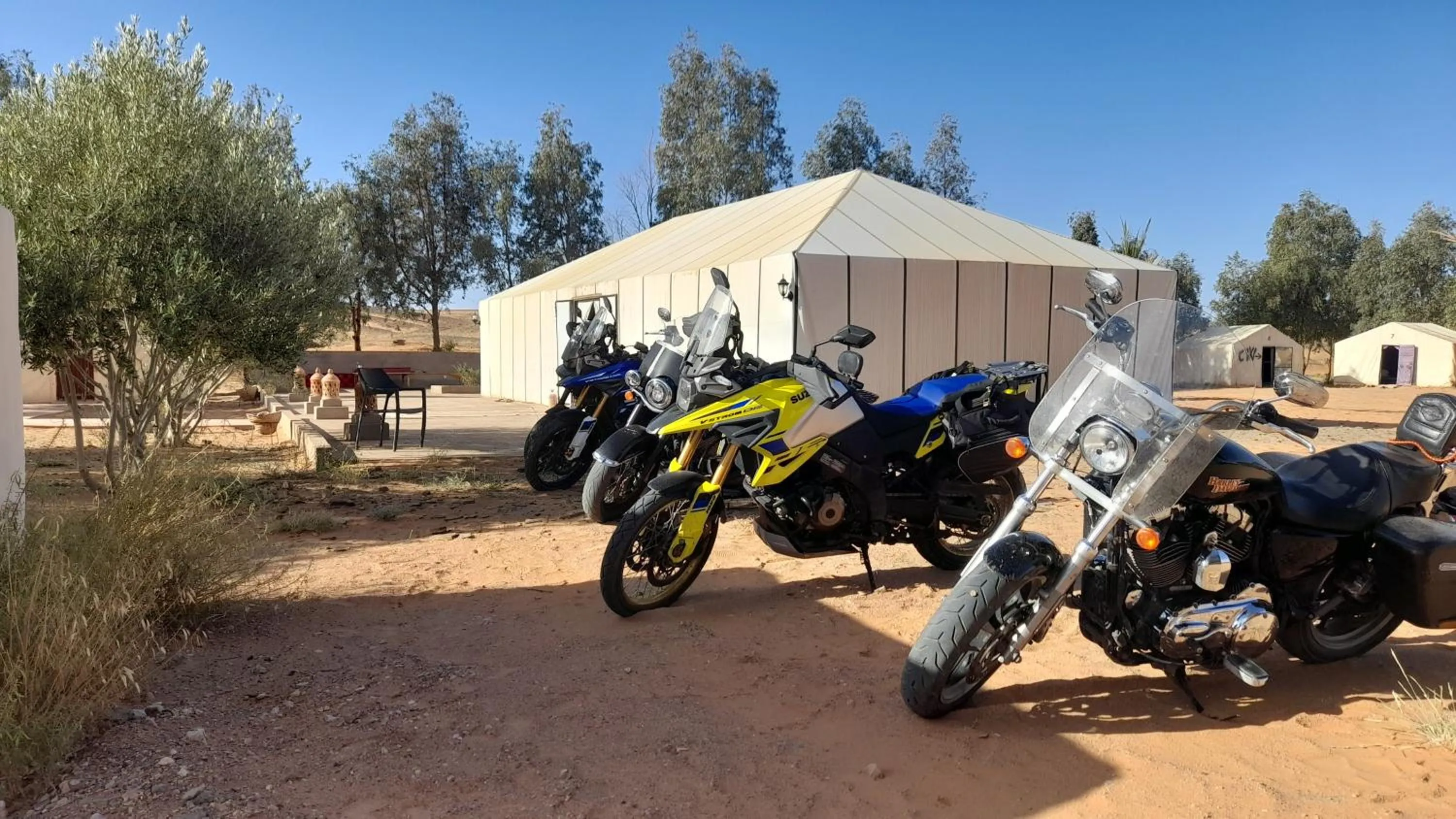 People in Trek desert Morocco Sarl