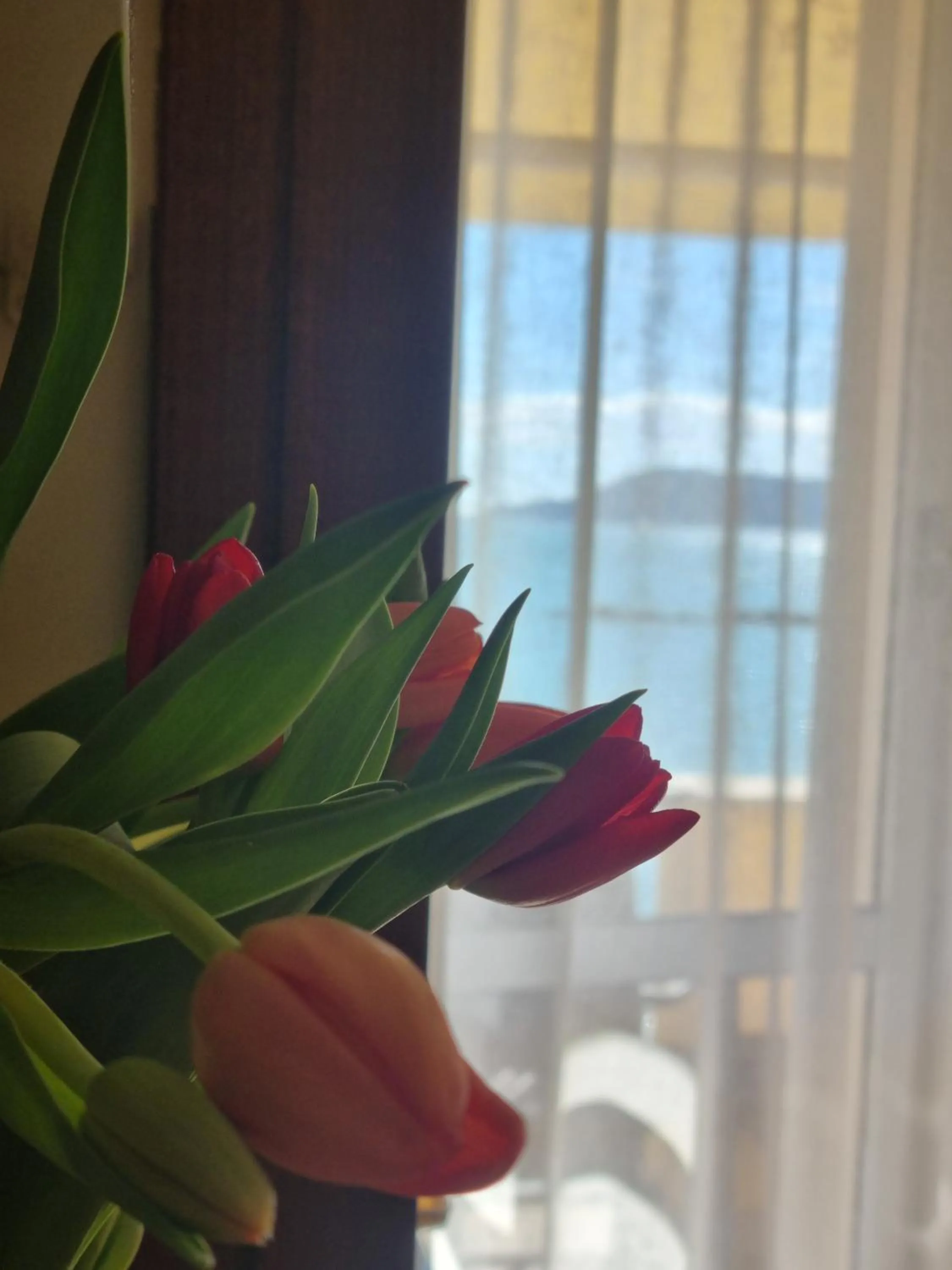 Sea view in Hotel Florida Lerici