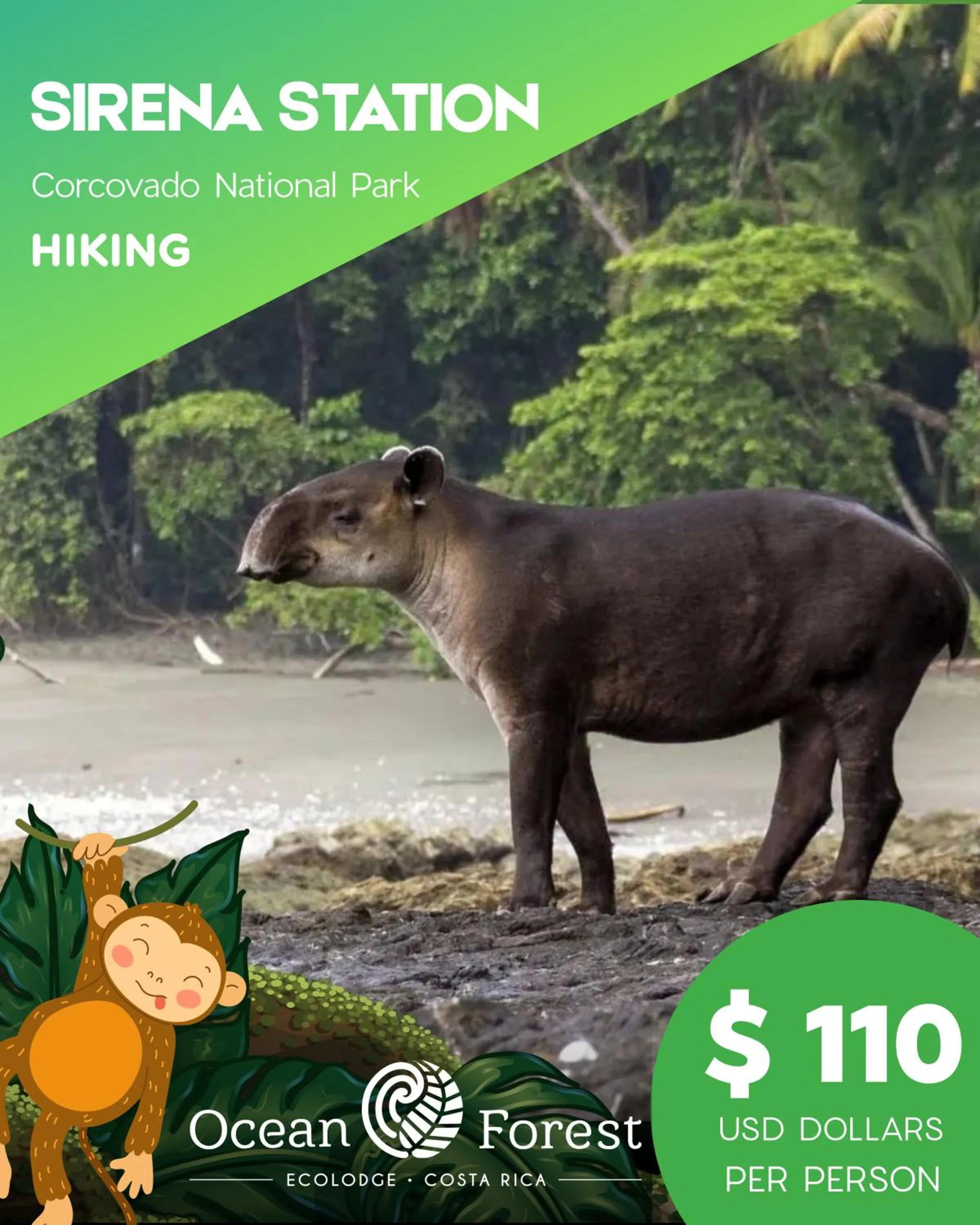 Day in Ocean Forest Ecolodge