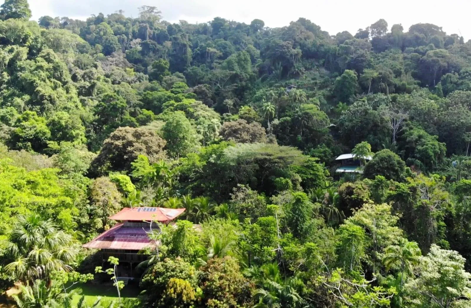 Natural landscape in Ocean Forest Ecolodge
