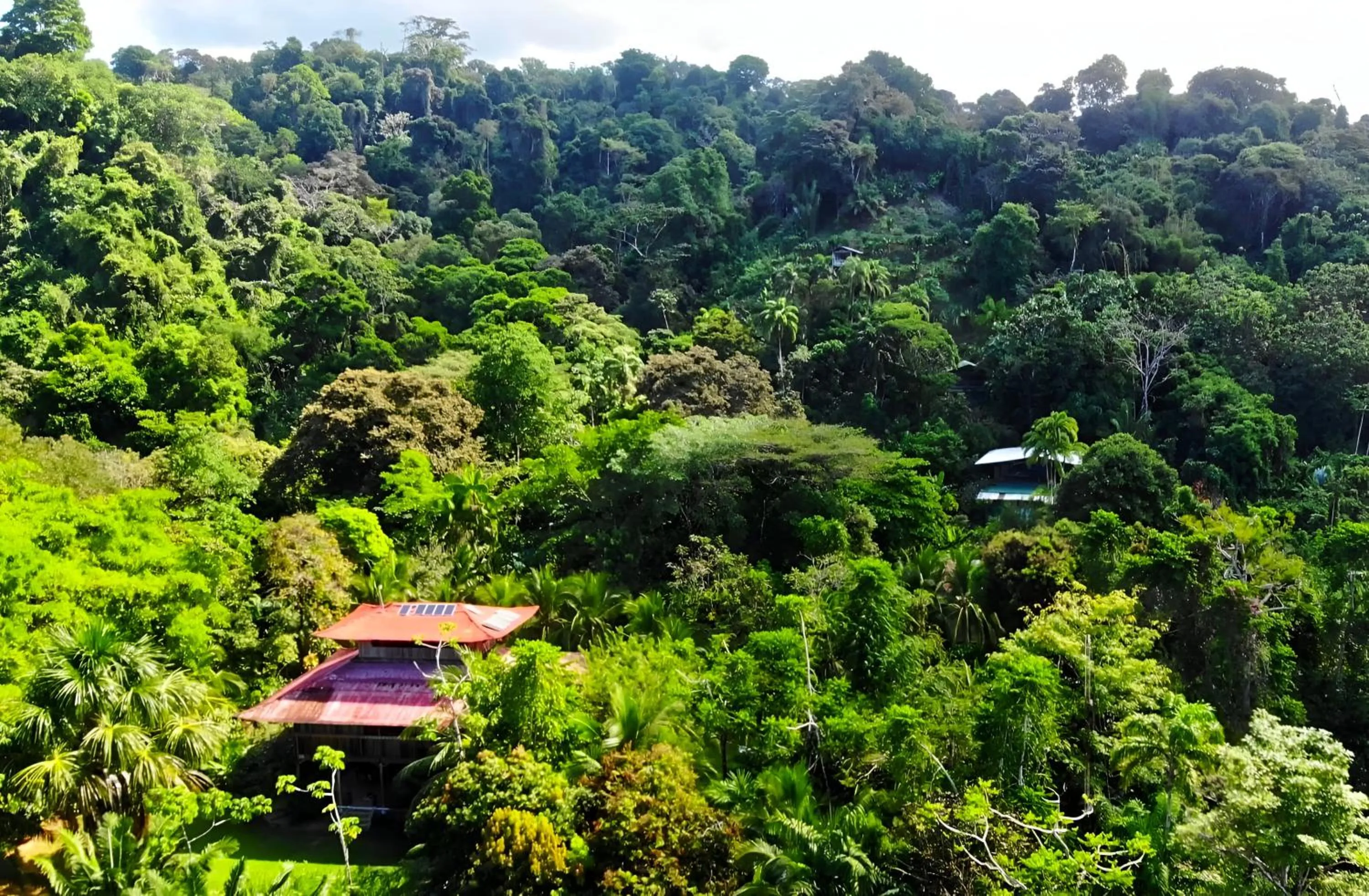 Property building in Ocean Forest Ecolodge