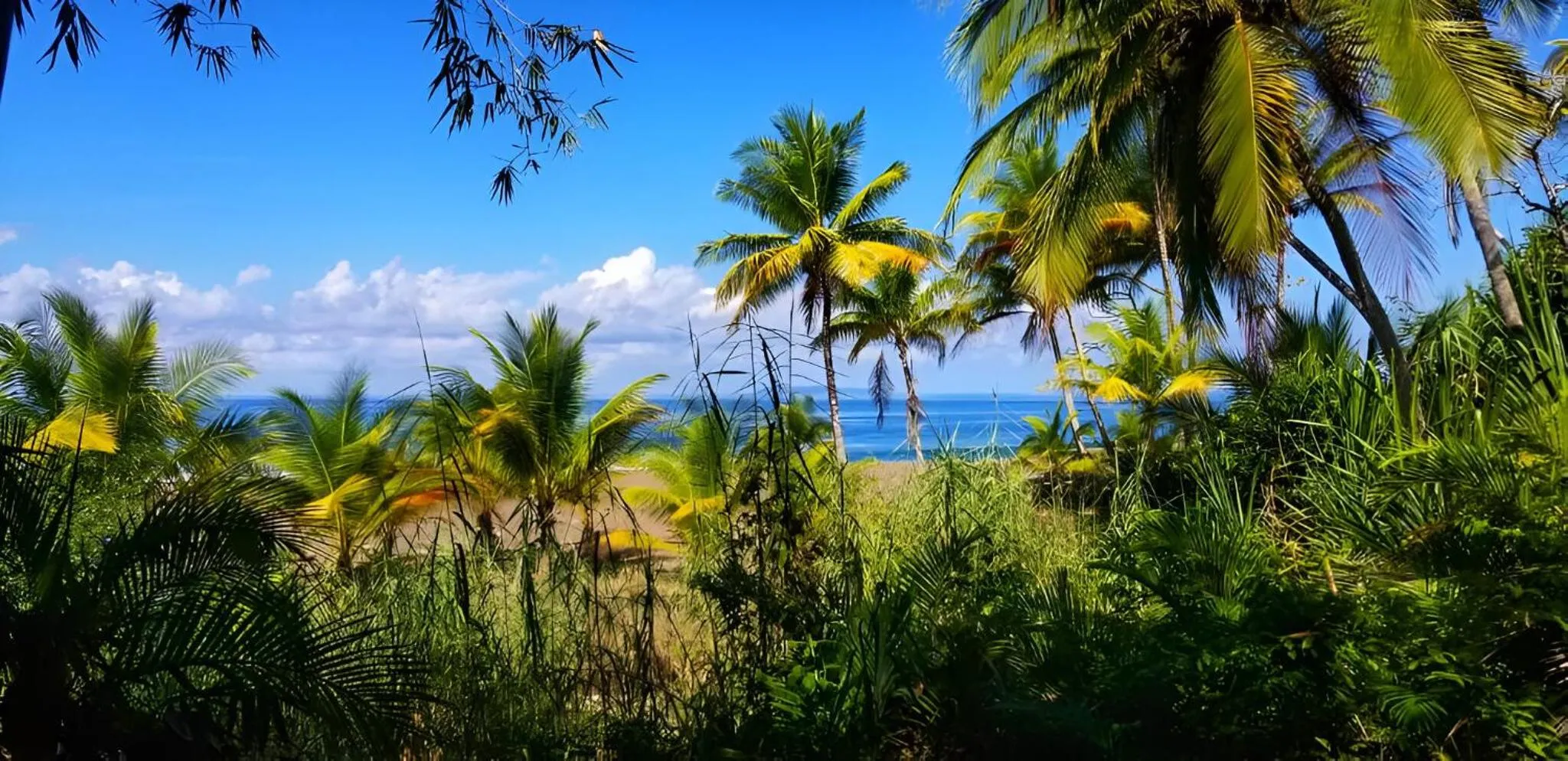 View (from property/room) in Ocean Forest Ecolodge