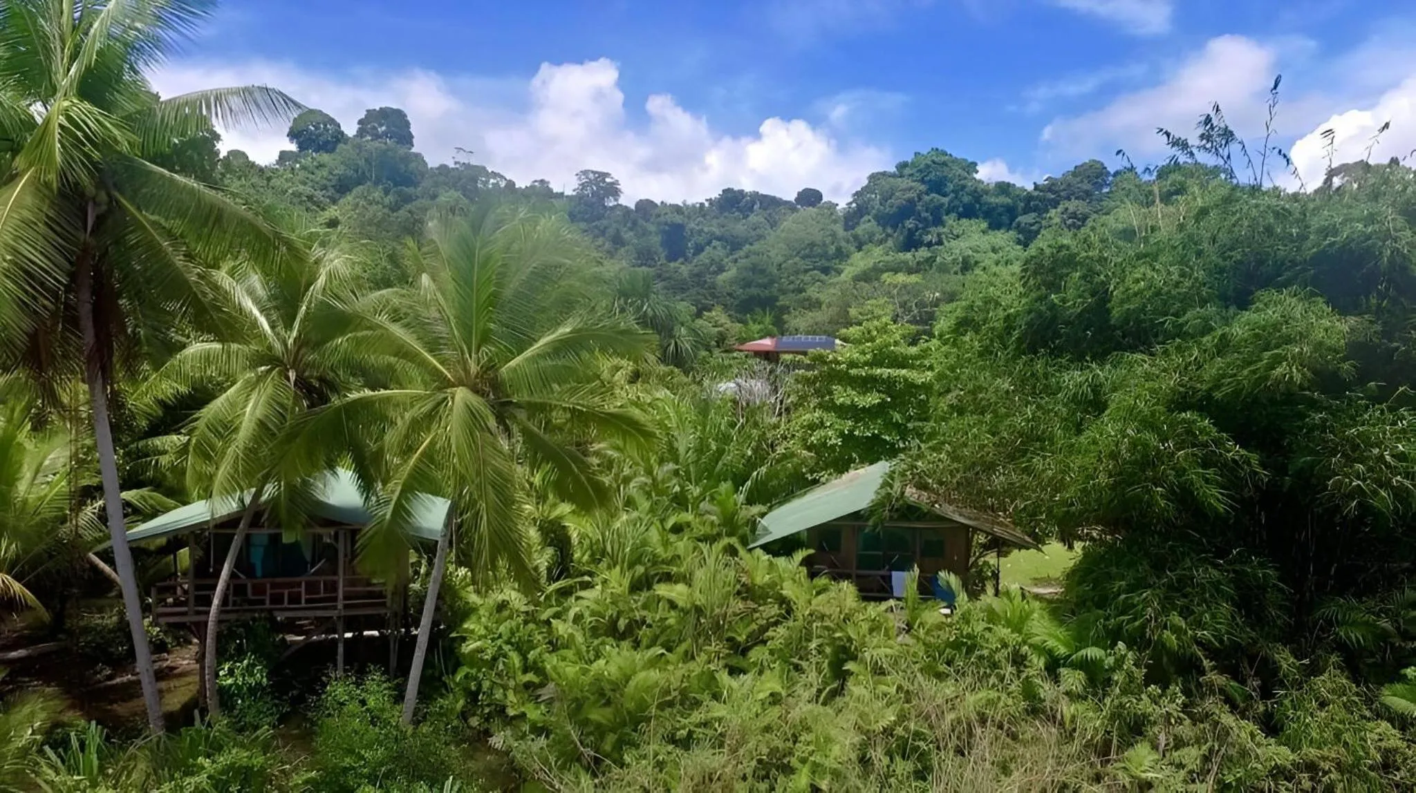 Day in Ocean Forest Ecolodge