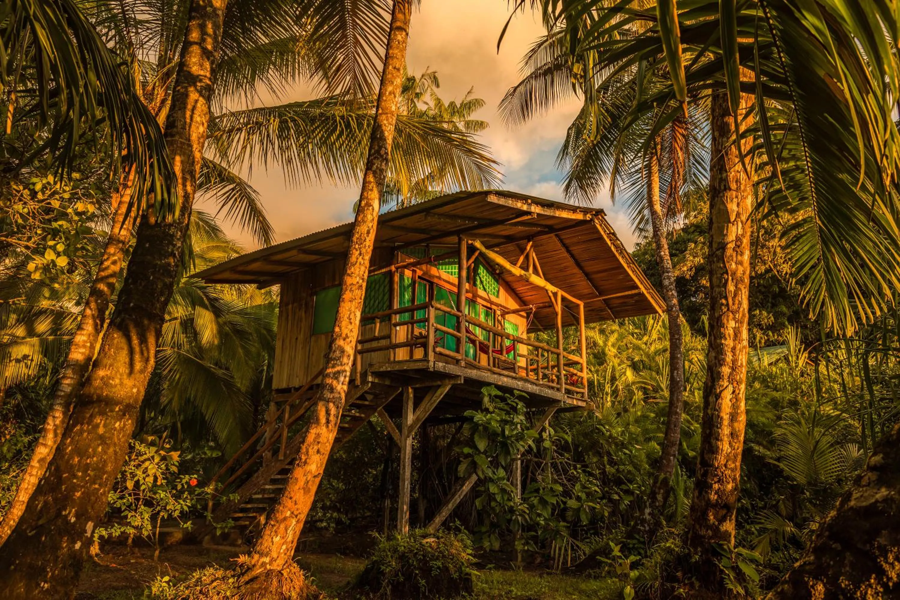 Property building in Ocean Forest Ecolodge