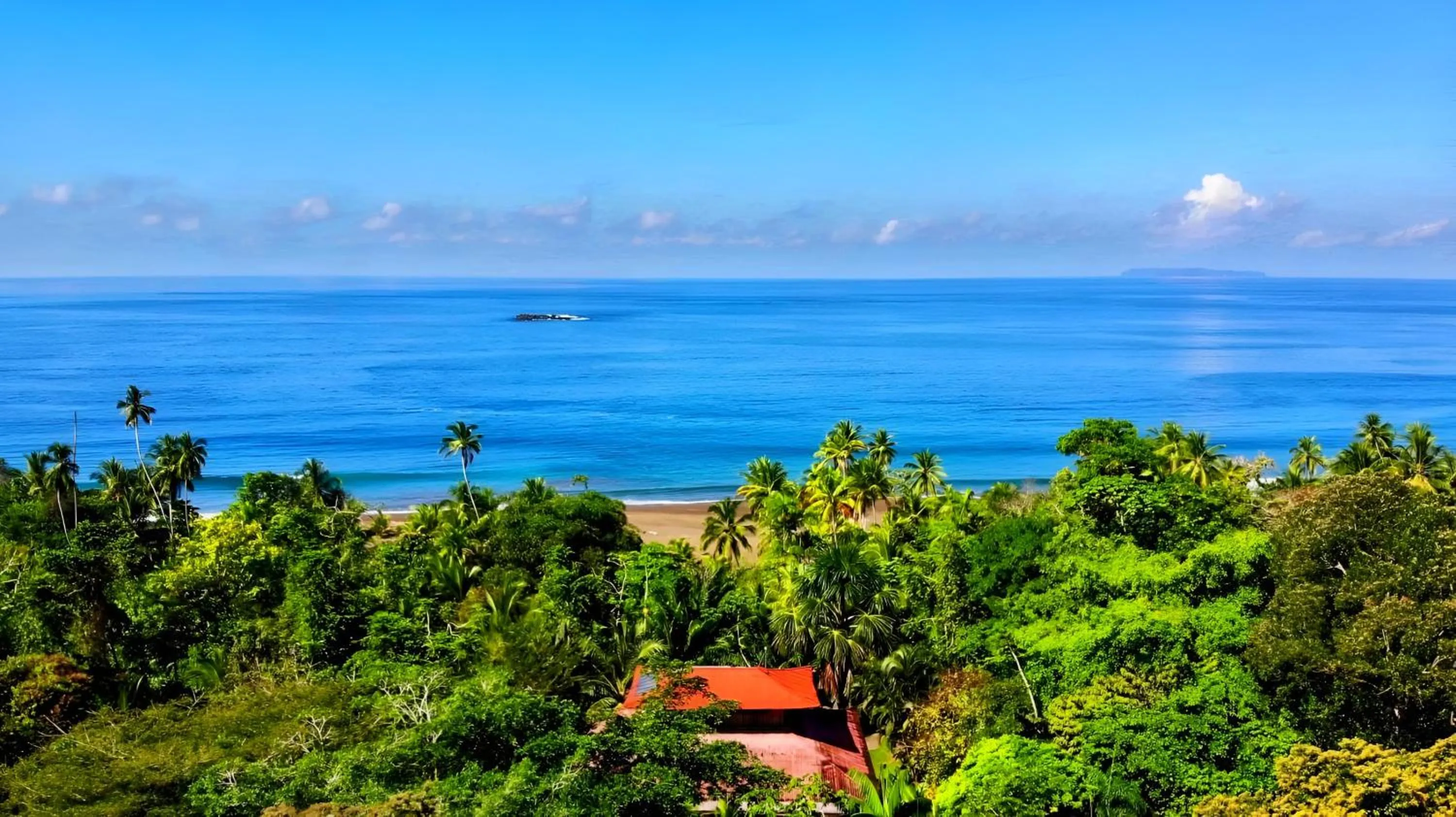 Property building in Ocean Forest Ecolodge