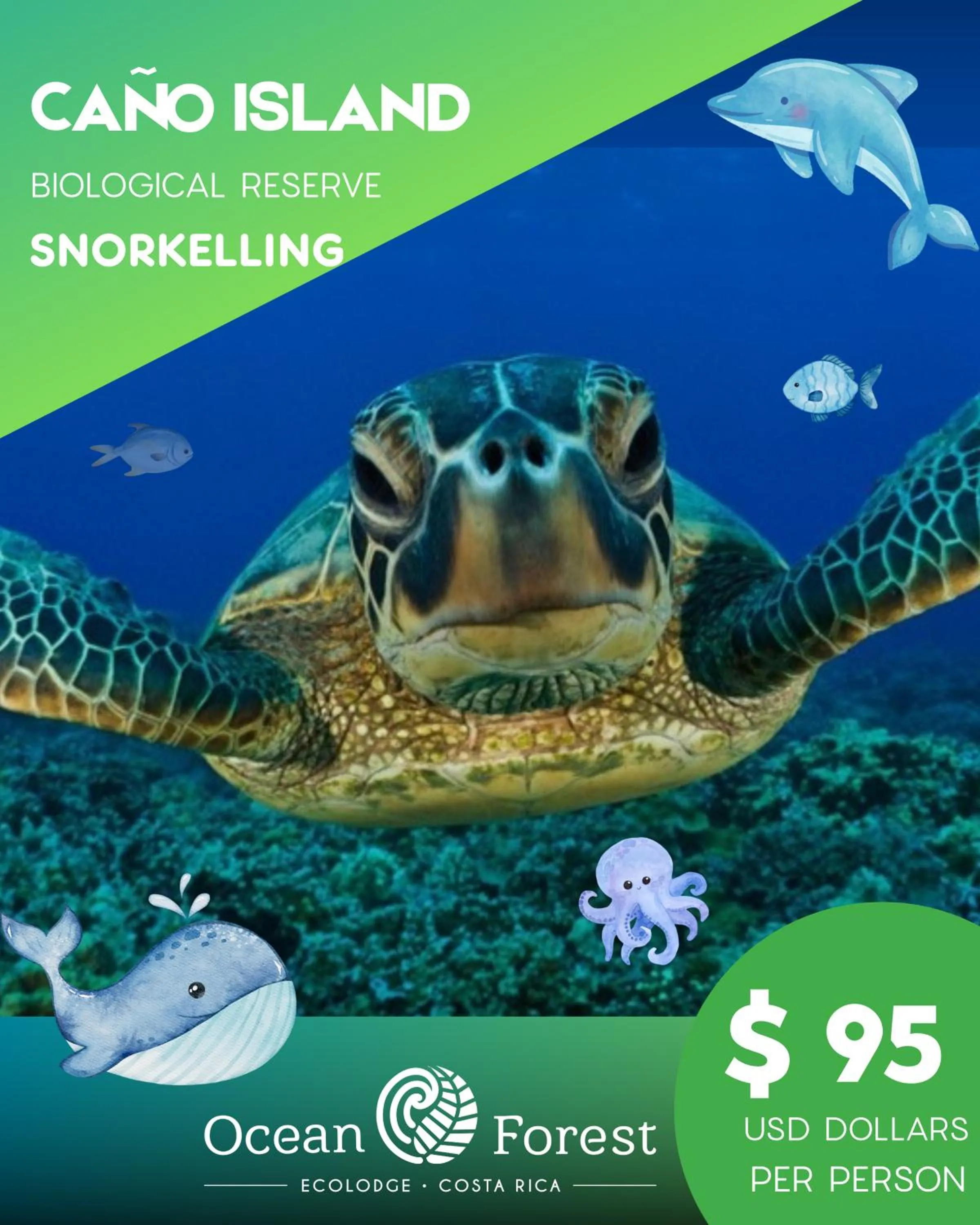 Summer in Ocean Forest Ecolodge