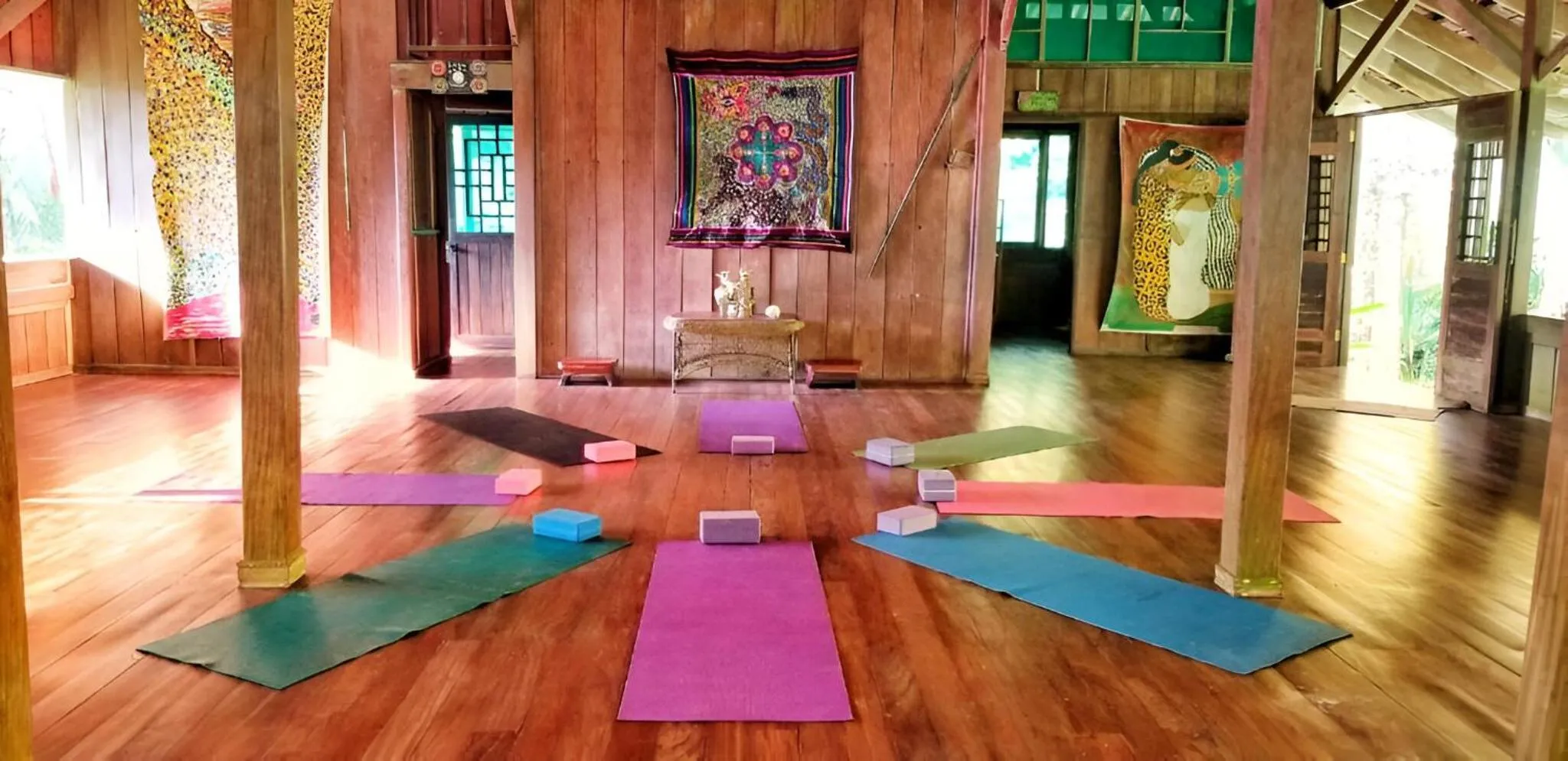 Property building in Ocean Forest Ecolodge