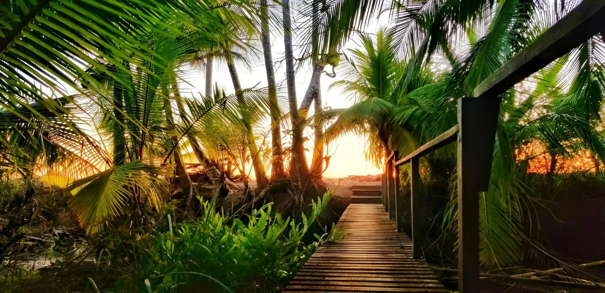 Facade/entrance in Ocean Forest Ecolodge