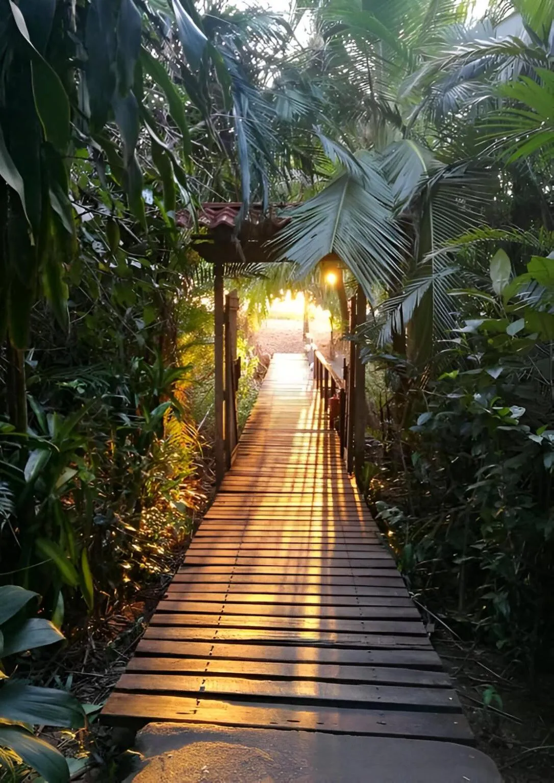 Property building in Ocean Forest Ecolodge