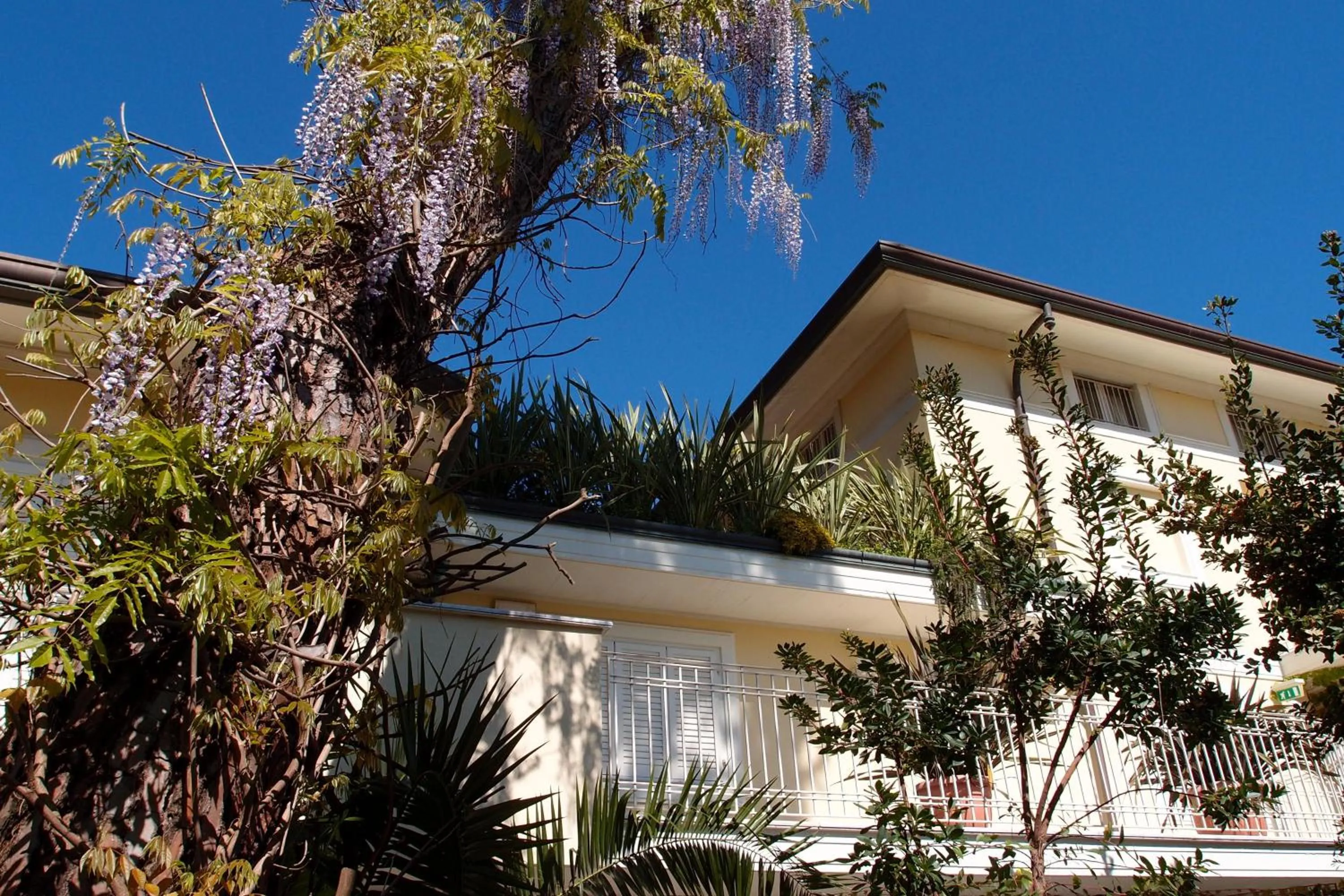 Facade/entrance in JR Resort Logos Forte dei Marmi
