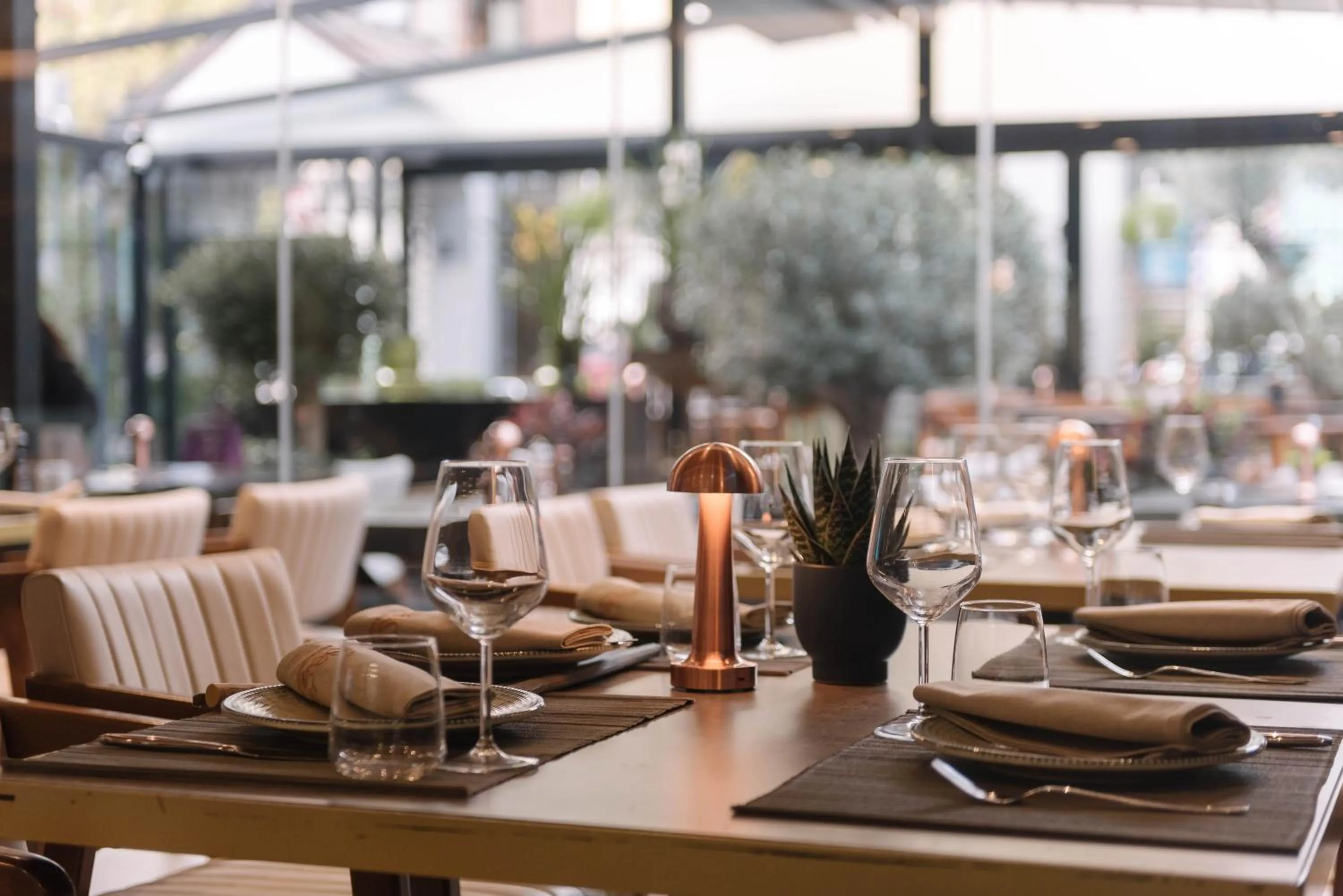 Restaurant/places to eat in Triss Hotel