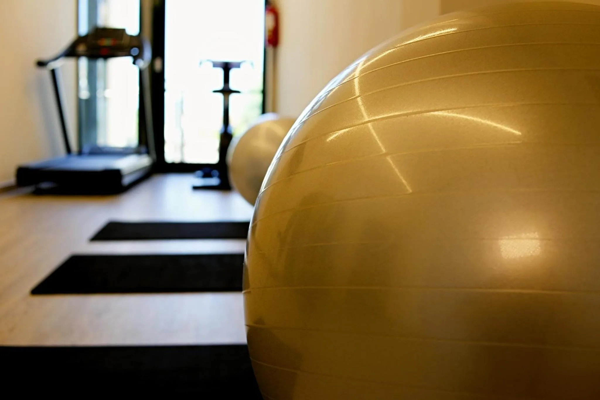 Fitness centre/facilities in Park Hotel Cattolica & Restaurant