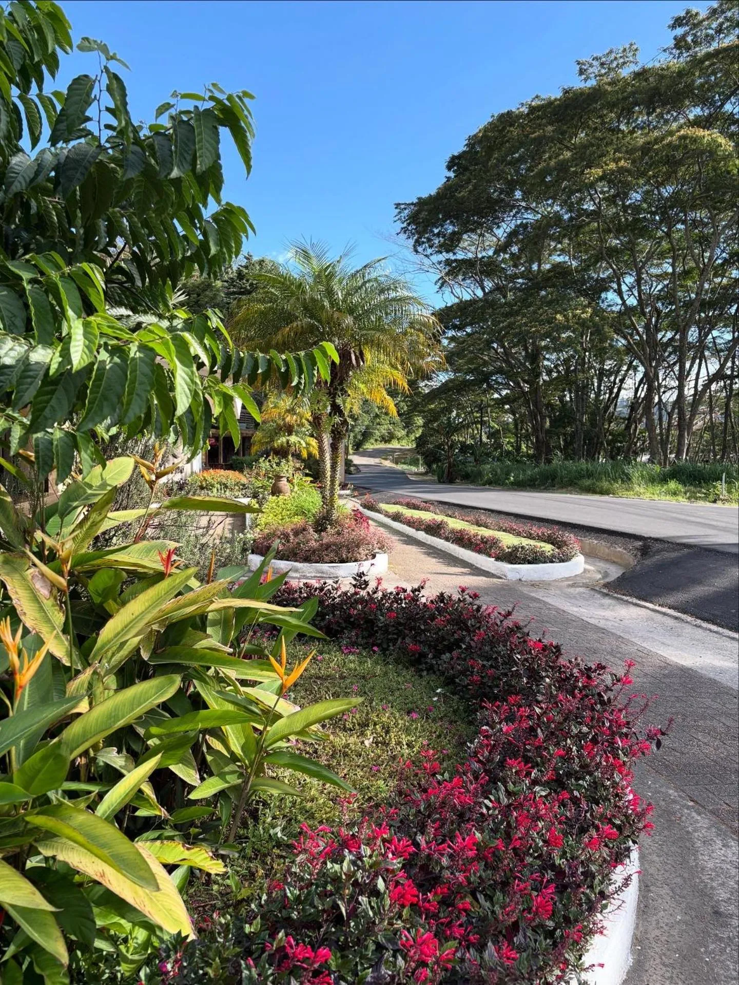 Facade/entrance in Hotel Ladera